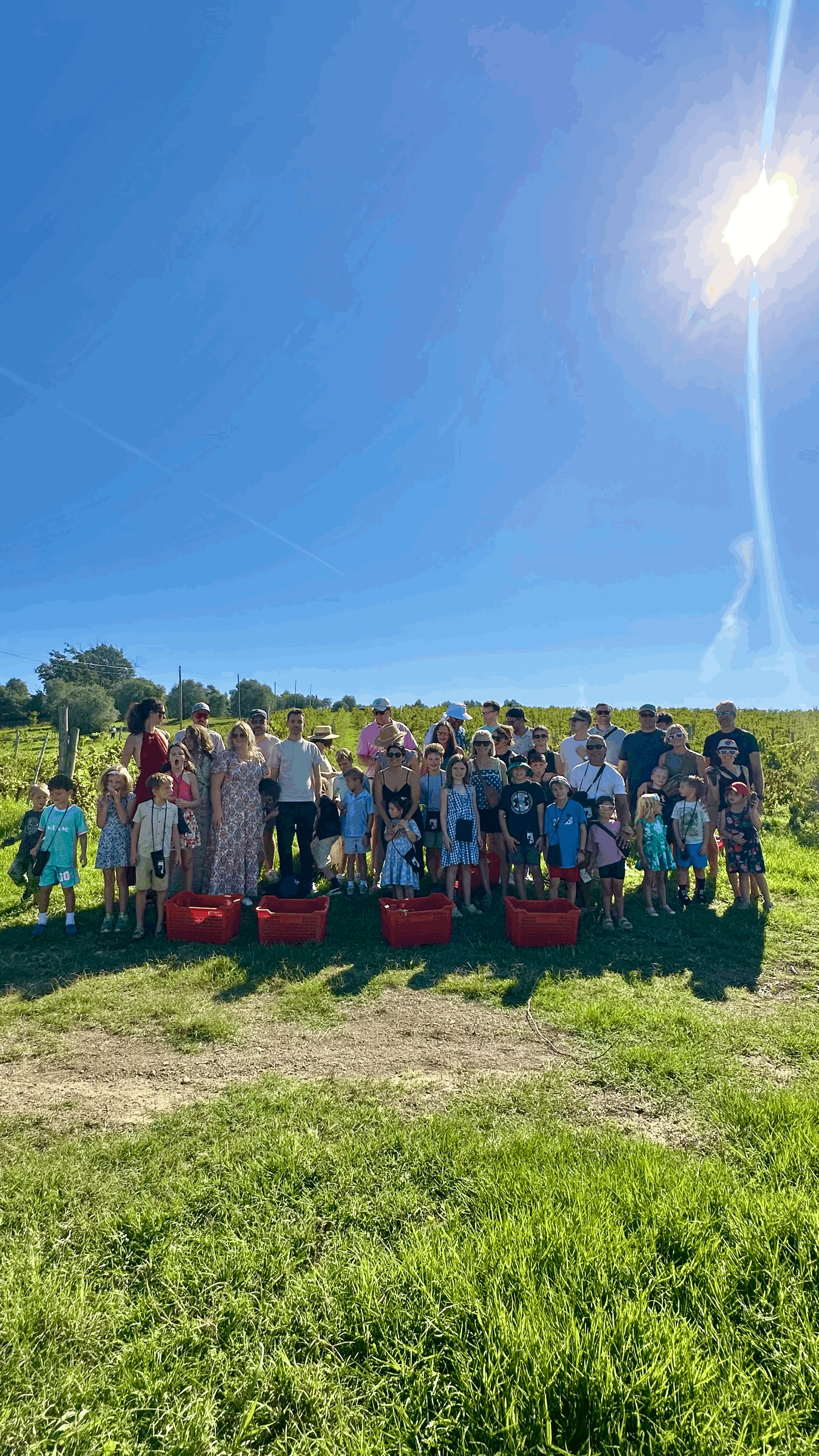 Family Grape Harvest at Fattoria Casalbosco (Sep. 12)