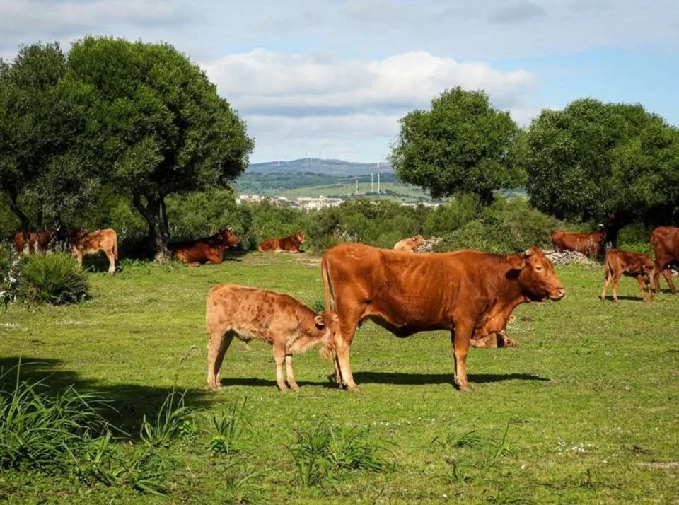 WhatsApp Image 2026-03-04 at 10.52.44.jpeg