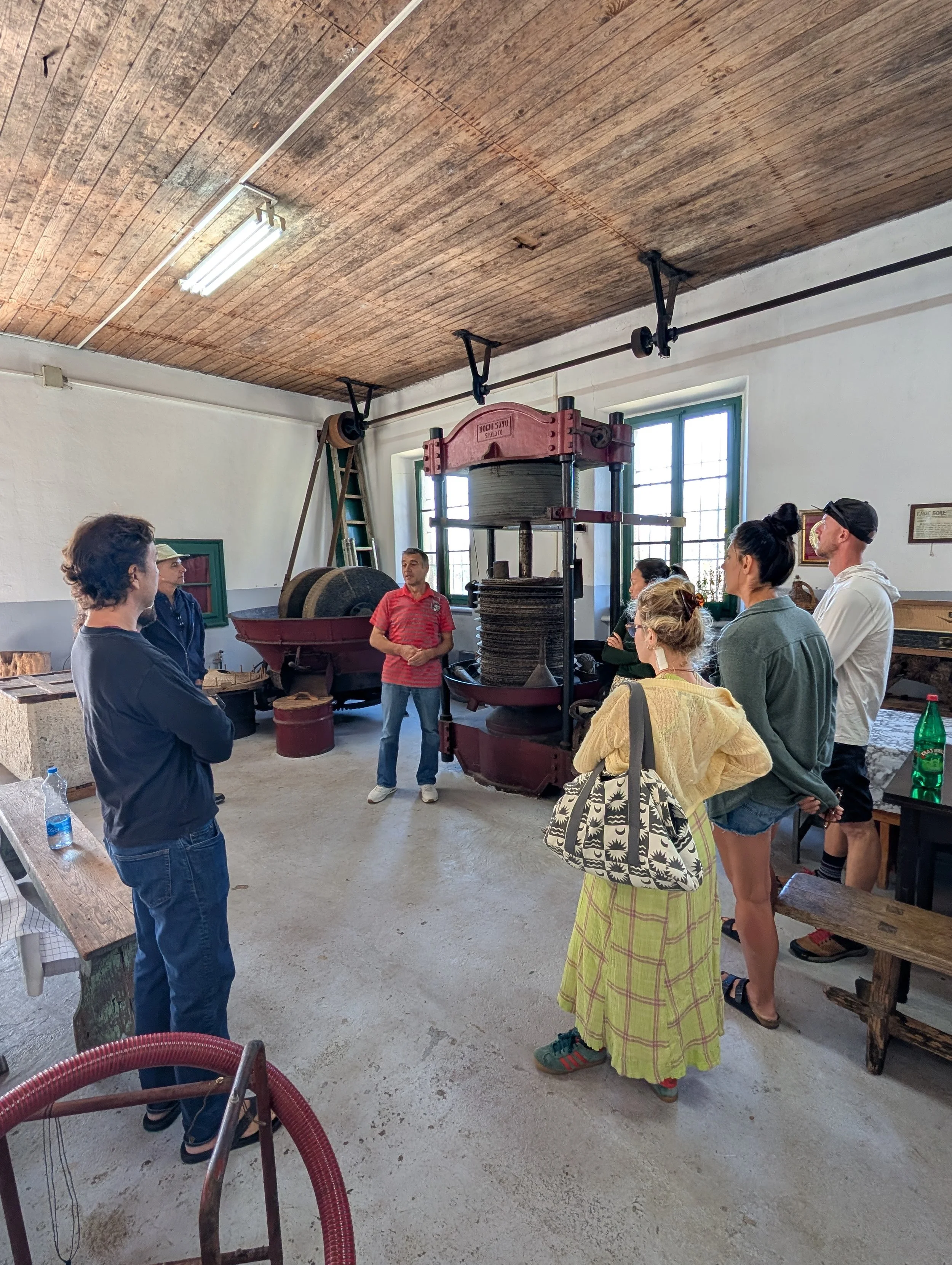 Olive mill experience at a family Farm (Jun 1st)
