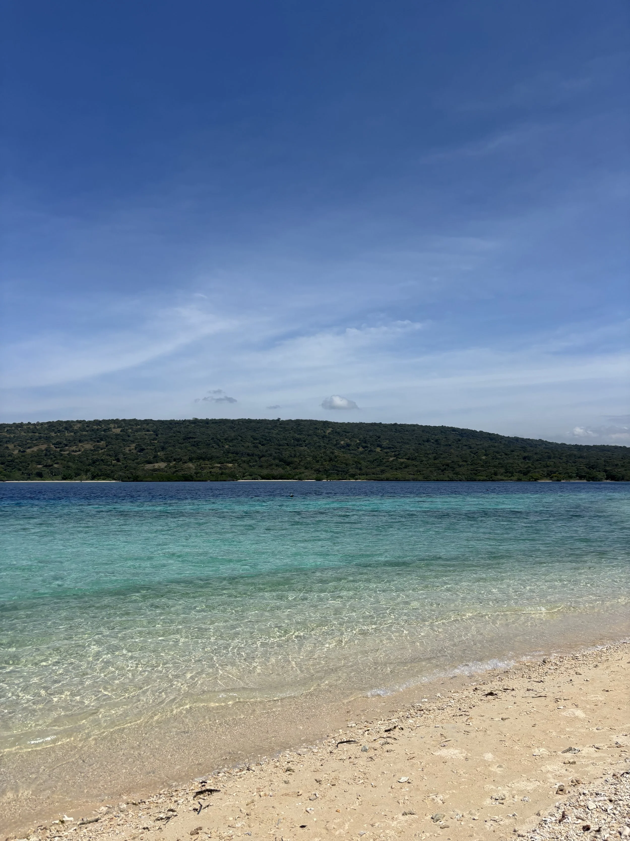 IMG_3335.jpg