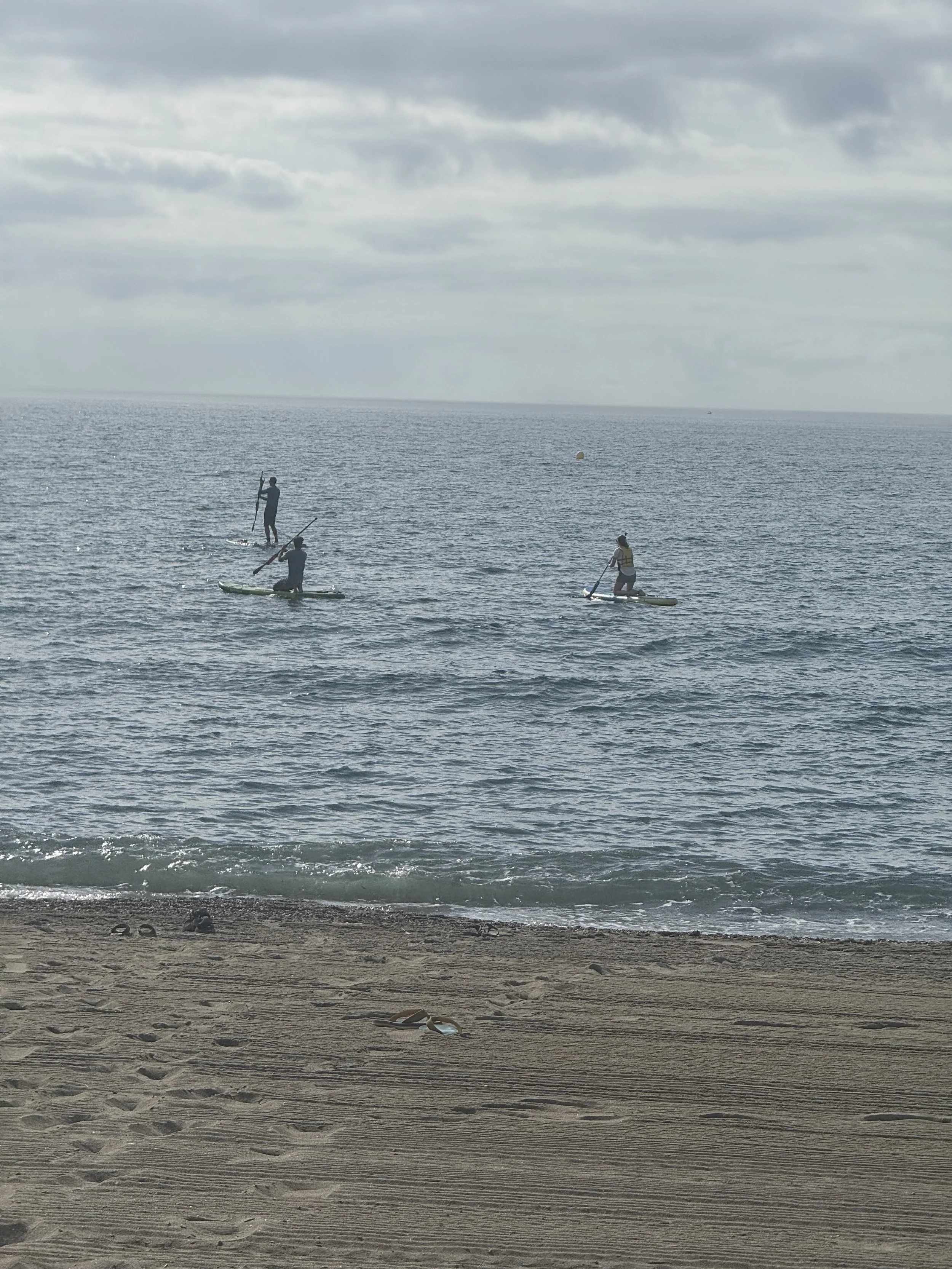 IMG_4384.jpeg
