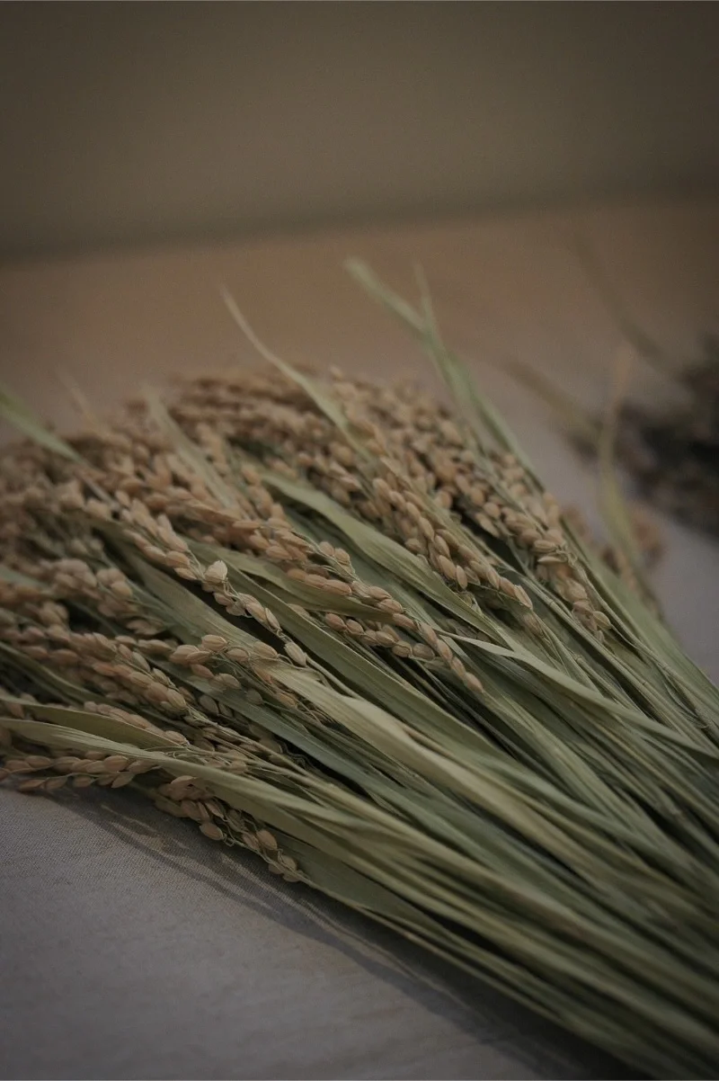 shimenawa2.webp