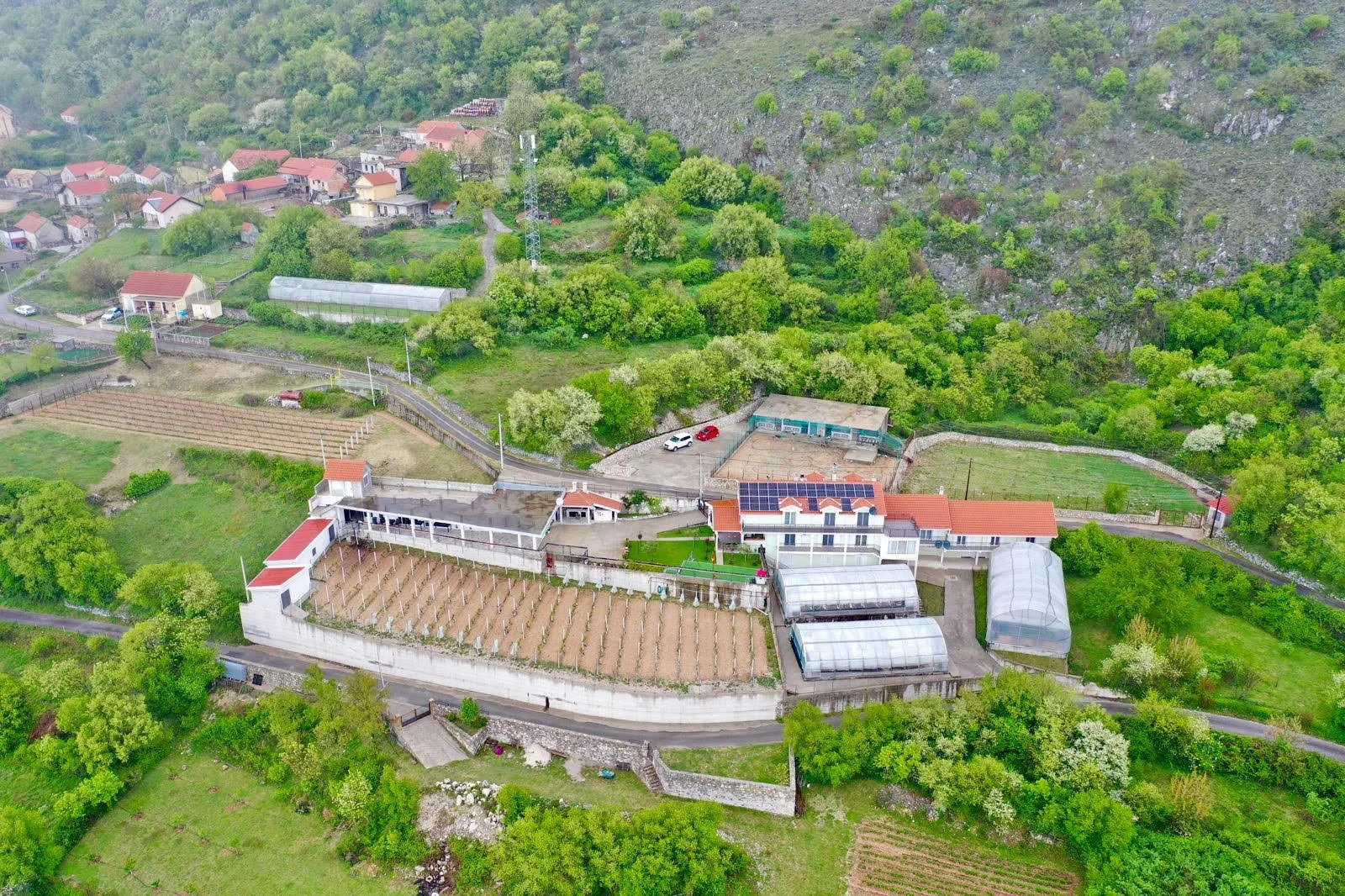 Farm Visit & Lunch Experience (Jun 16th)