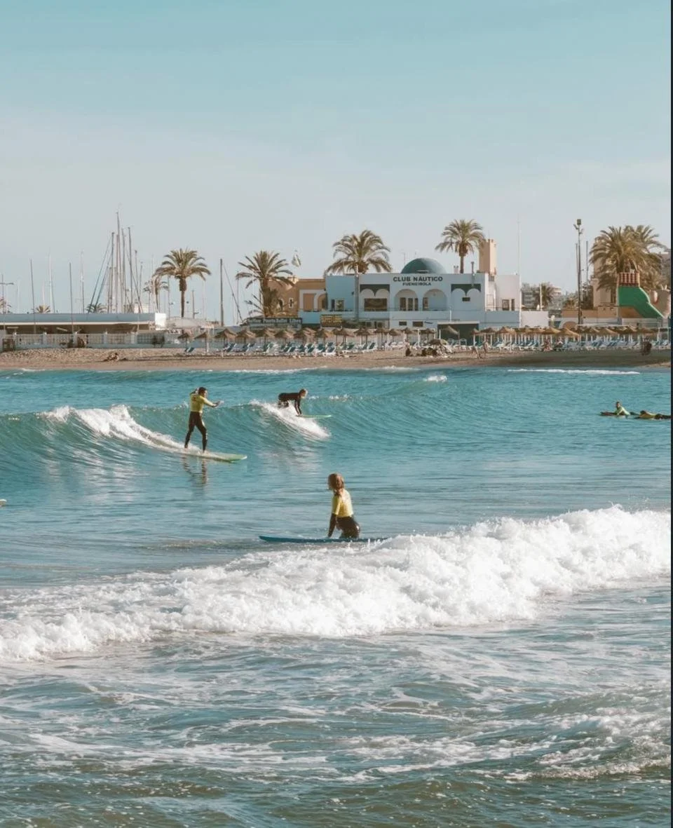 WhatsApp Image 2026-03-20 at 13.57.03.jpeg