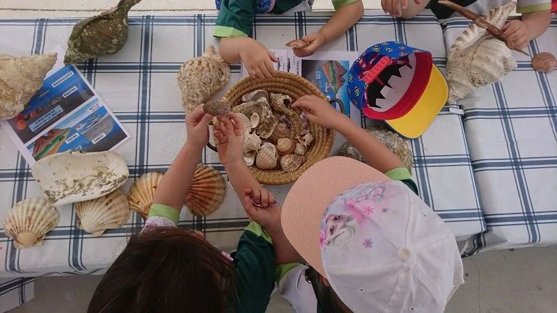 Maritime ECA (Age 4-6) | Mondays