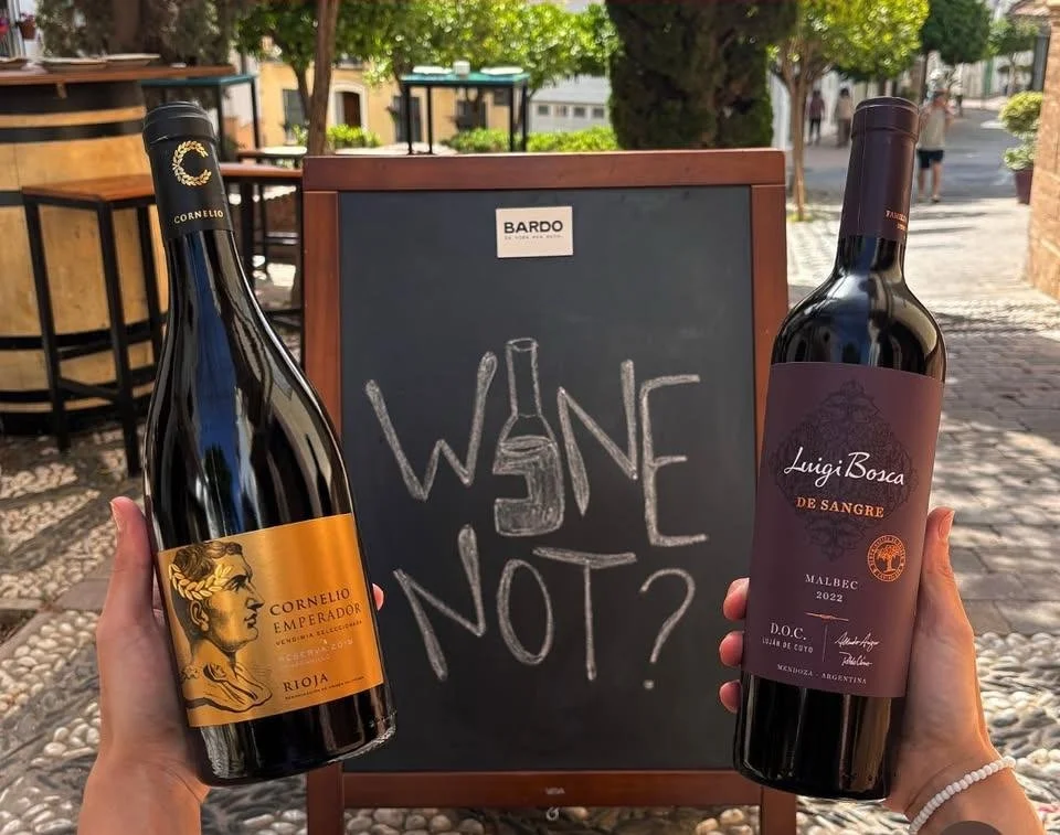 WhatsApp Image 2026-02-24 at 23.10.57 (2).jpeg