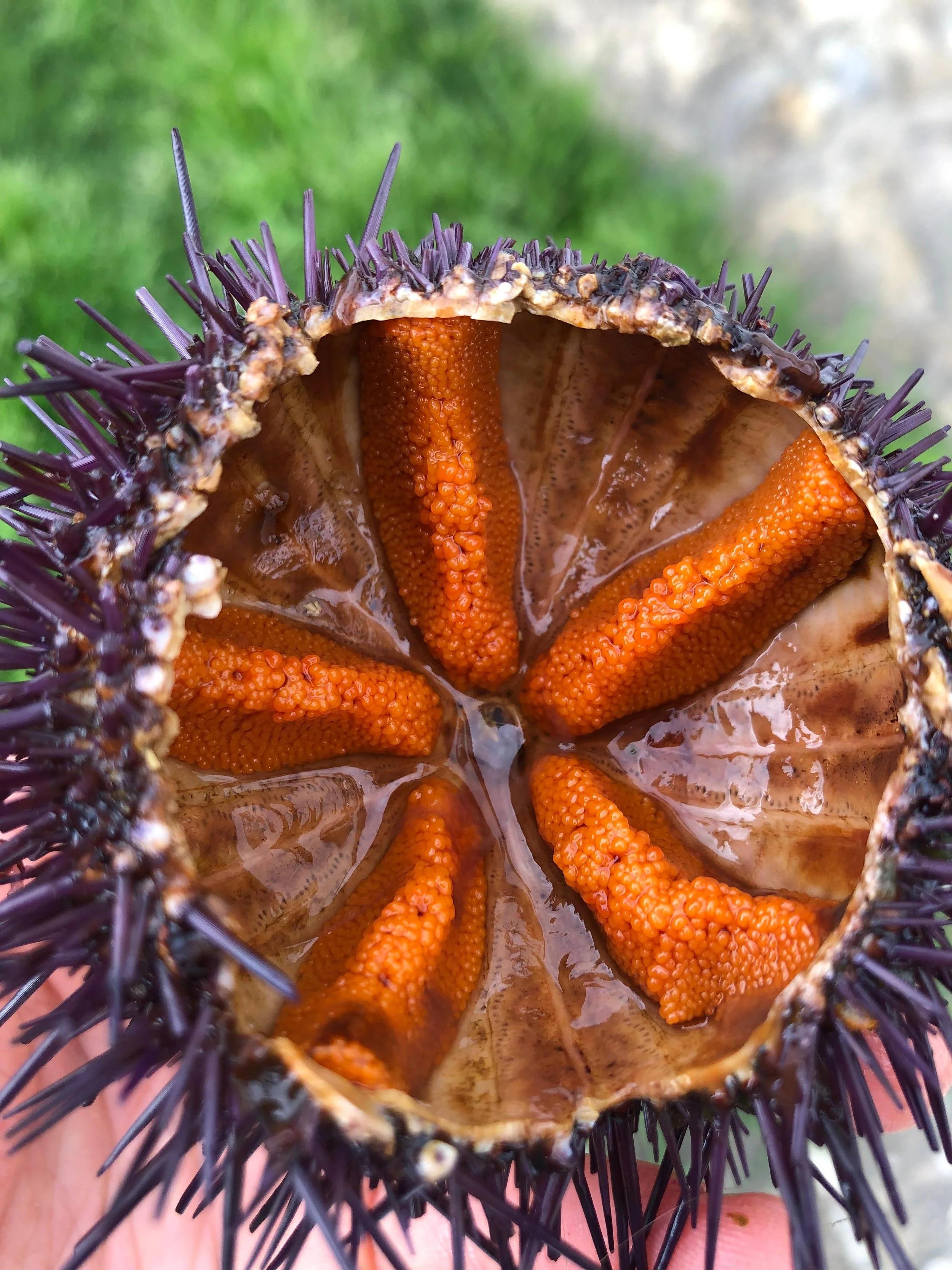 WhatsApp Image 2026-03-16 at 15.38.30.jpeg