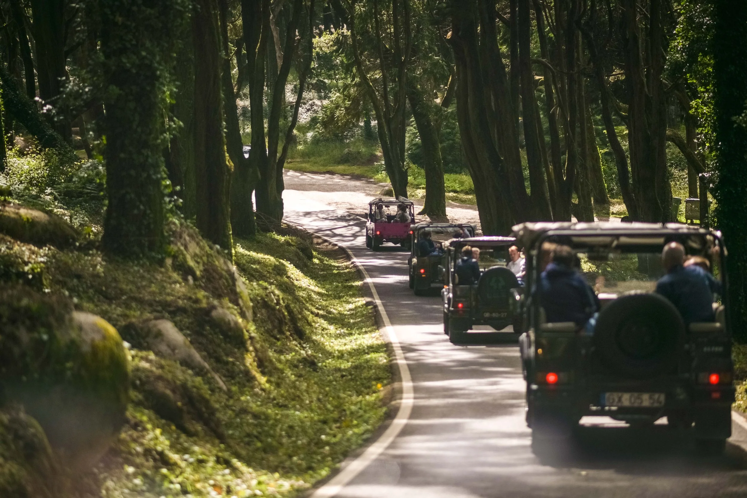 @joaobeijinho (22 of 167).jpg