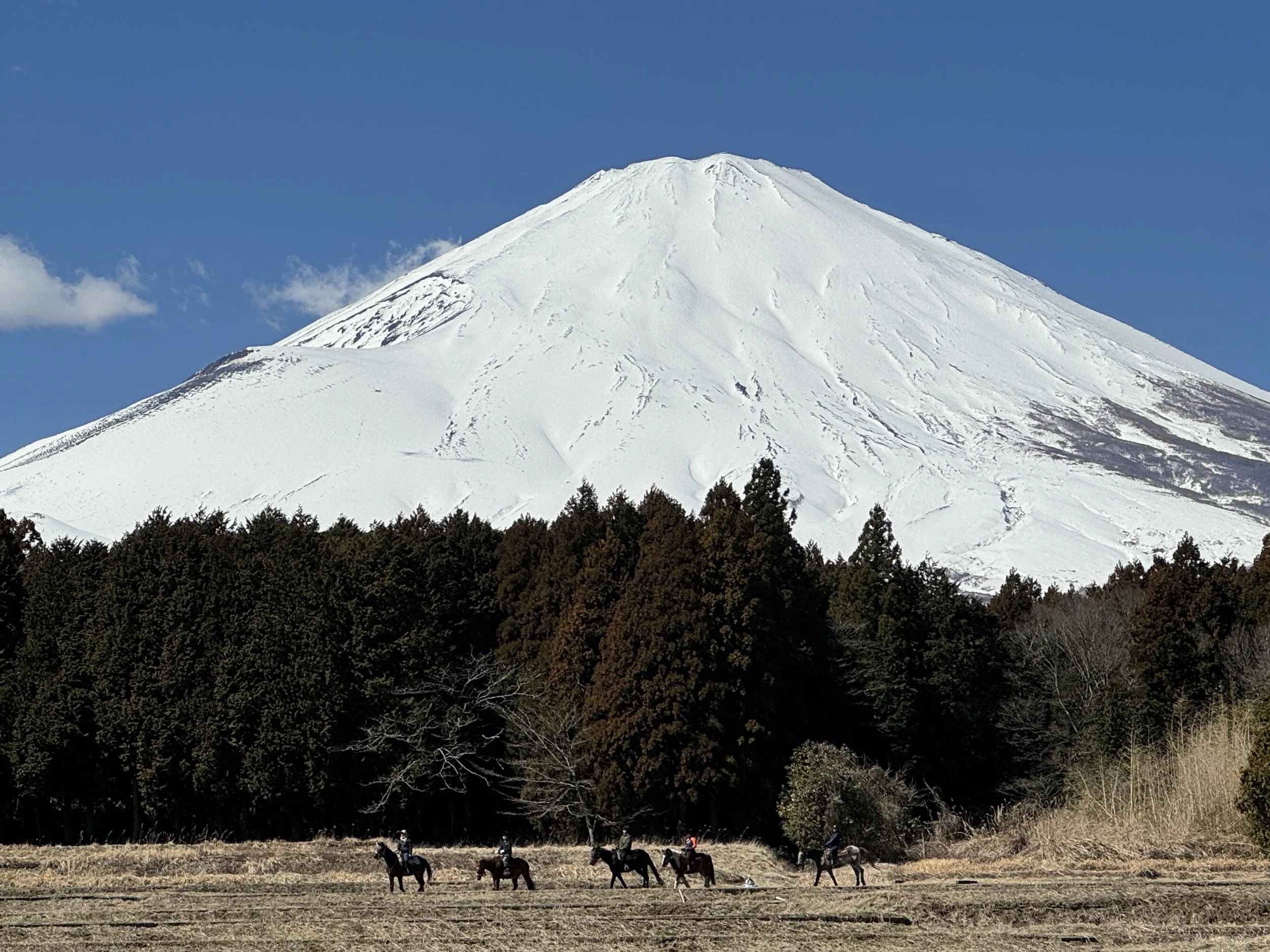 Horseback Riding - Family Experience (Apr. 26)
