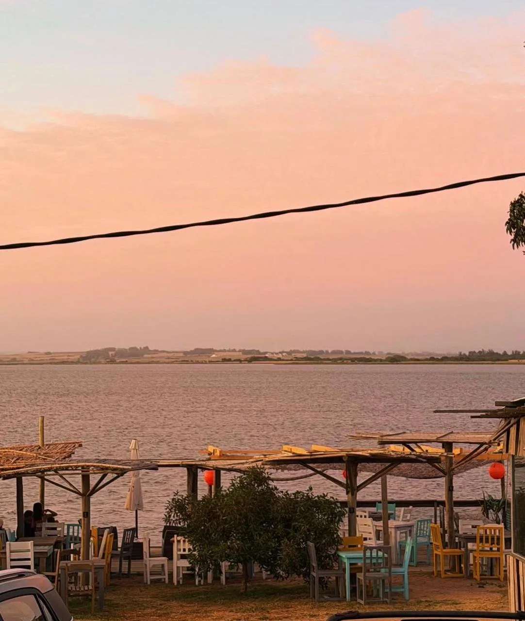 WhatsApp Image 2026-02-11 at 16.25.27.jpeg