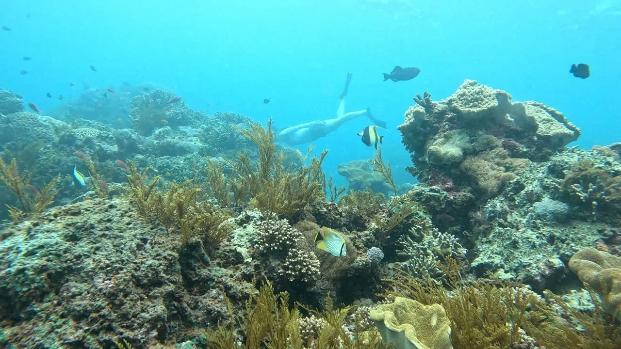 Snorkeling Safari: Nusa Lembongan (Apr. 27)
