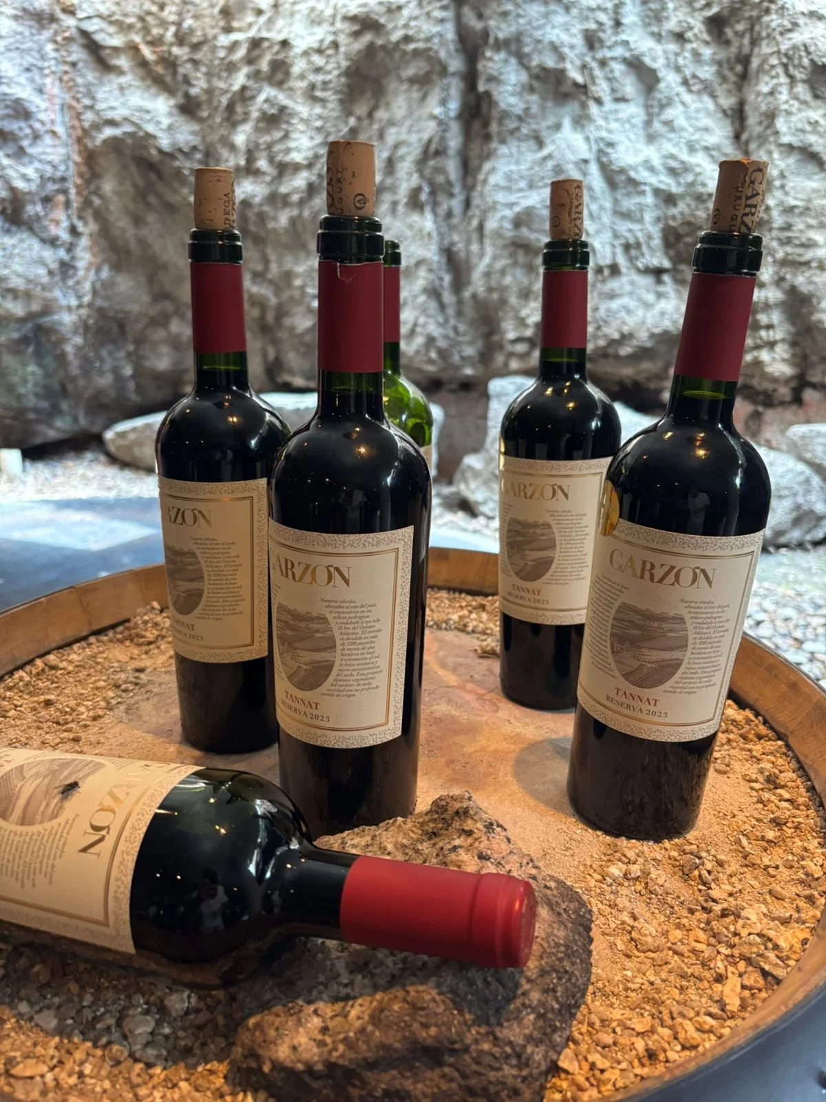 WhatsApp Image 2026-03-13 at 12.35.16.jpeg