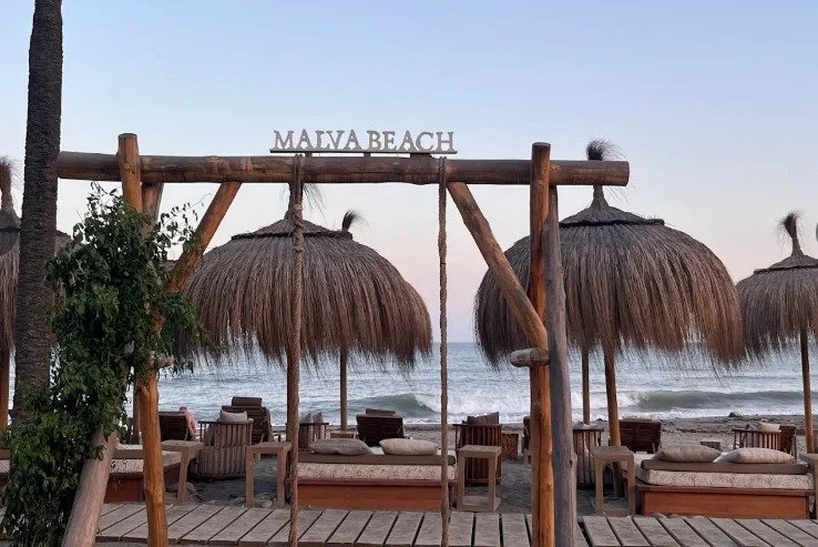 WhatsApp Image 2026-03-04 at 12.38.43.jpeg