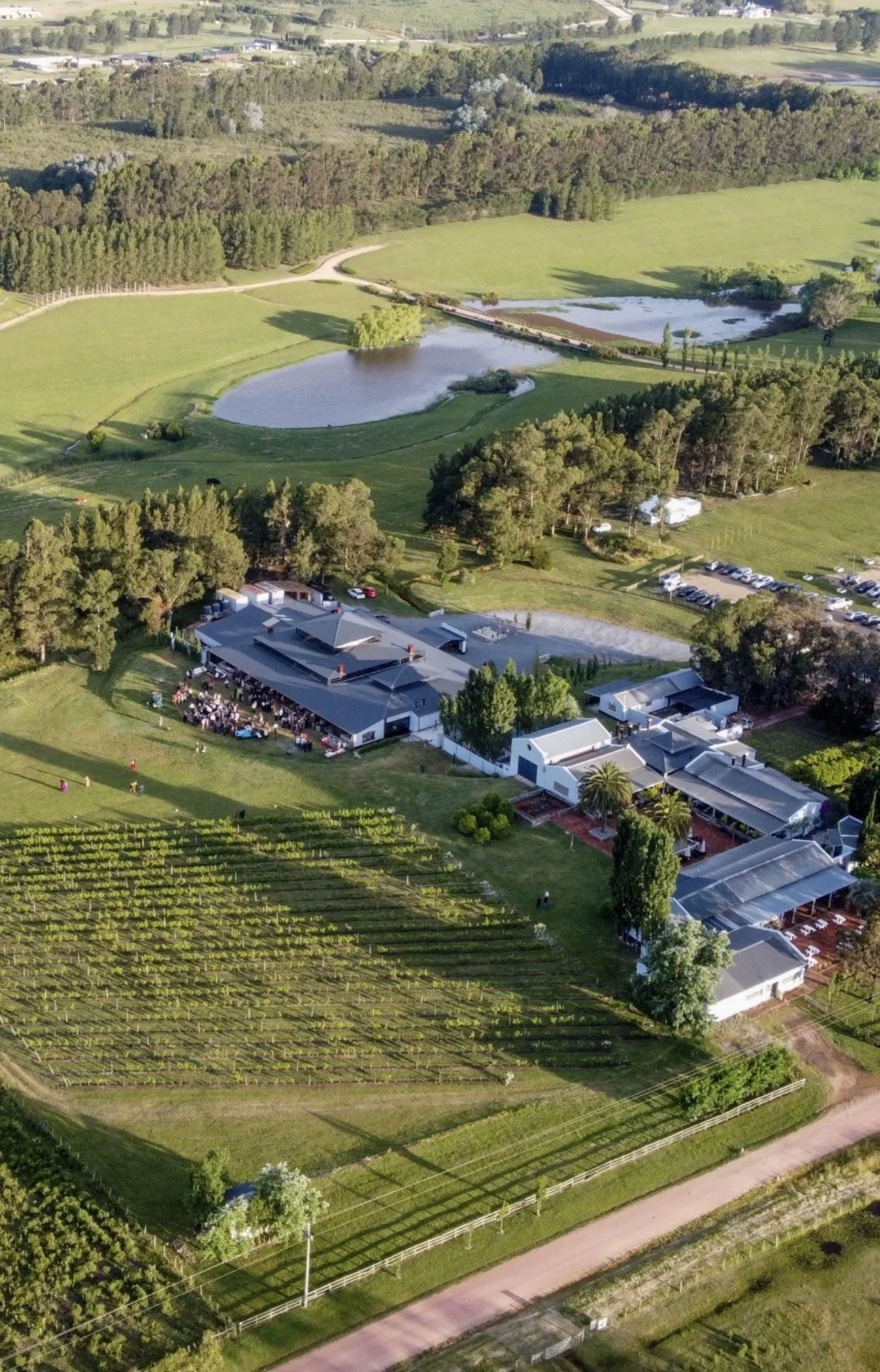 Tasting day at Narbona