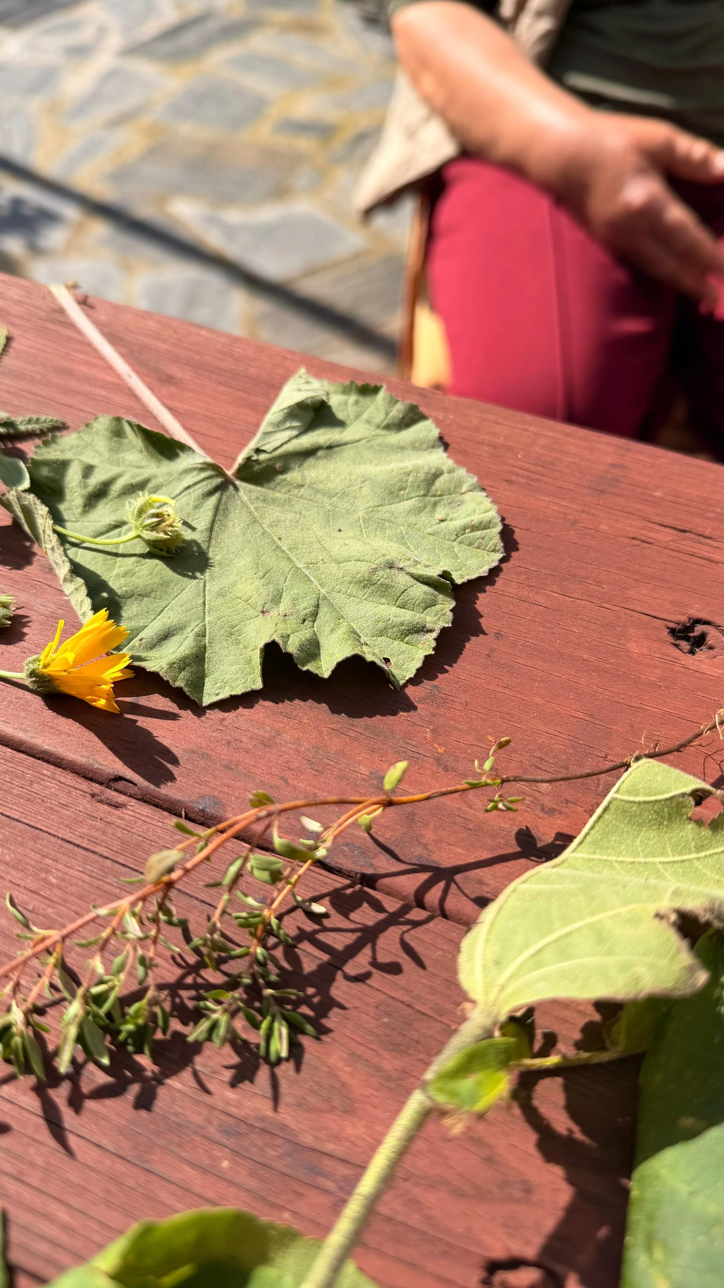 WhatsApp Image 2026-02-26 at 14.02.23.jpeg