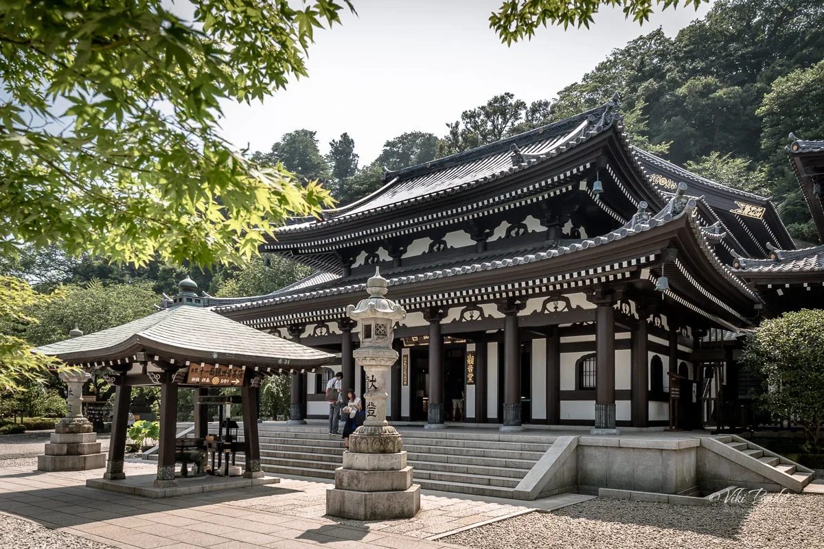 Explore Kamakura With the Crew & Discover Boundless Family Favourites! (Jan. 28)