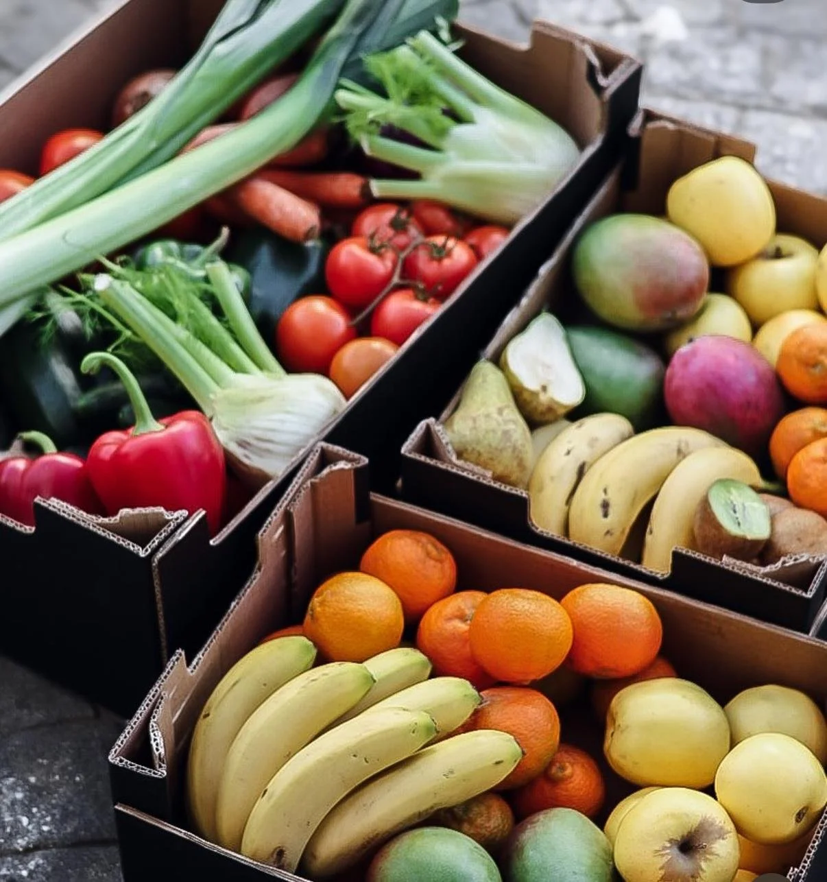 WhatsApp Image 2025-12-22 at 12.56.40 (1).jpeg