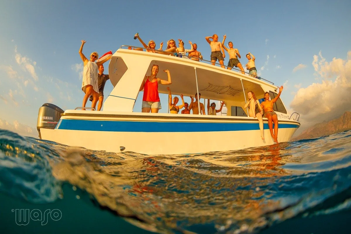 dolphin-boat.jpeg