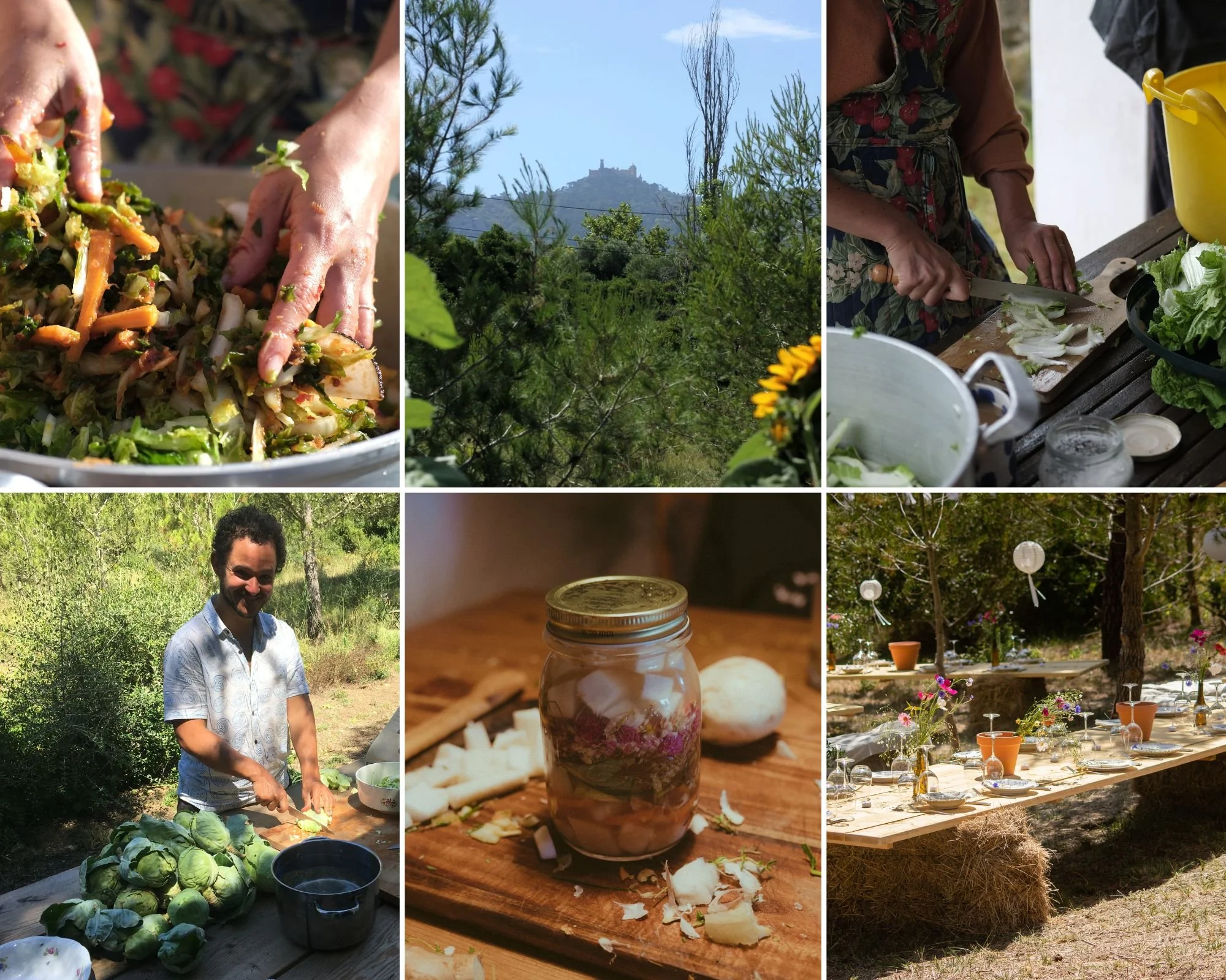 Hands-On Fermentation Workshop + Lunch at Vale d’Orvalho Farm (Oct. 3 ...