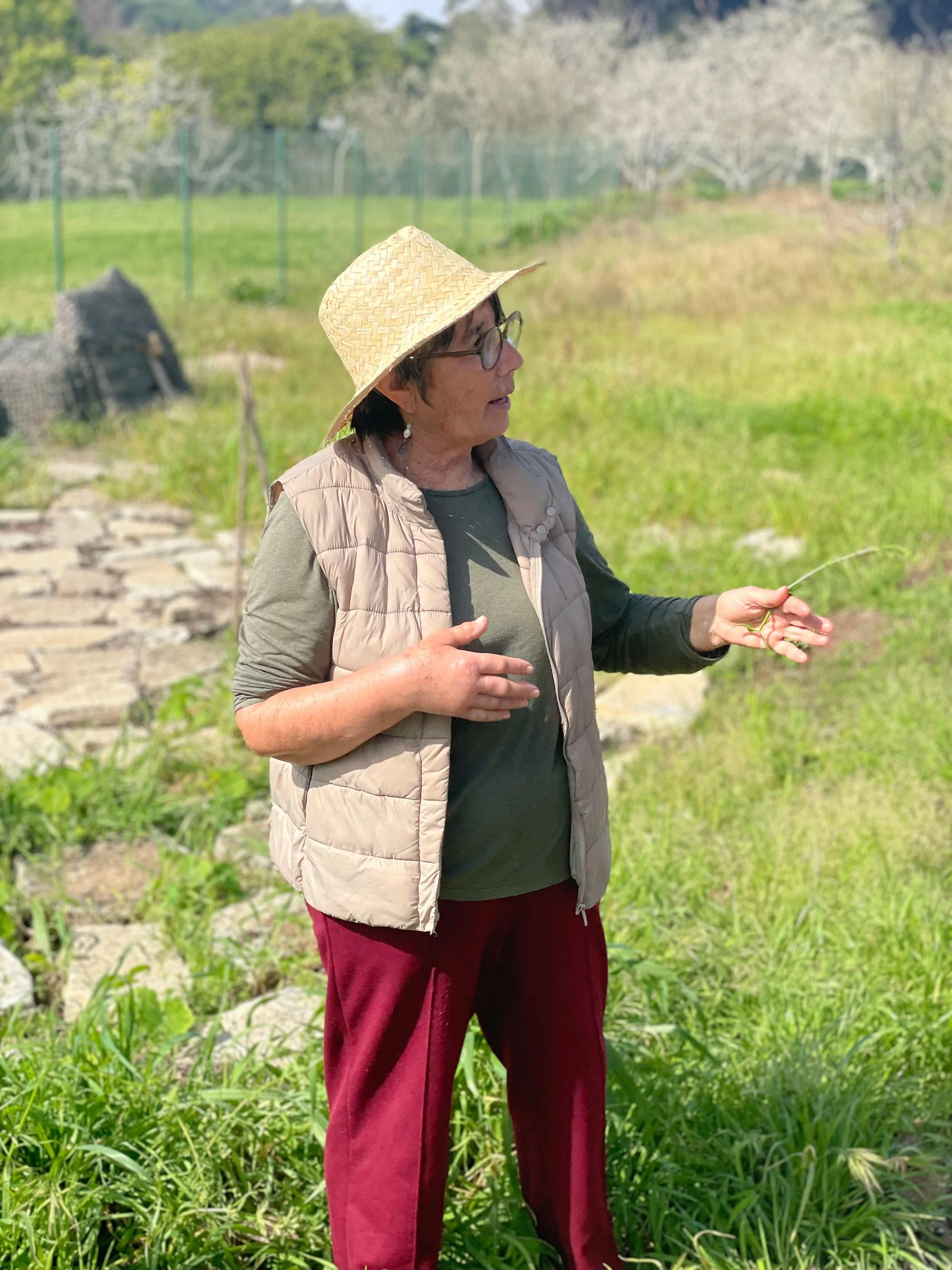 WhatsApp Image 2026-03-16 at 12.47.57.jpeg