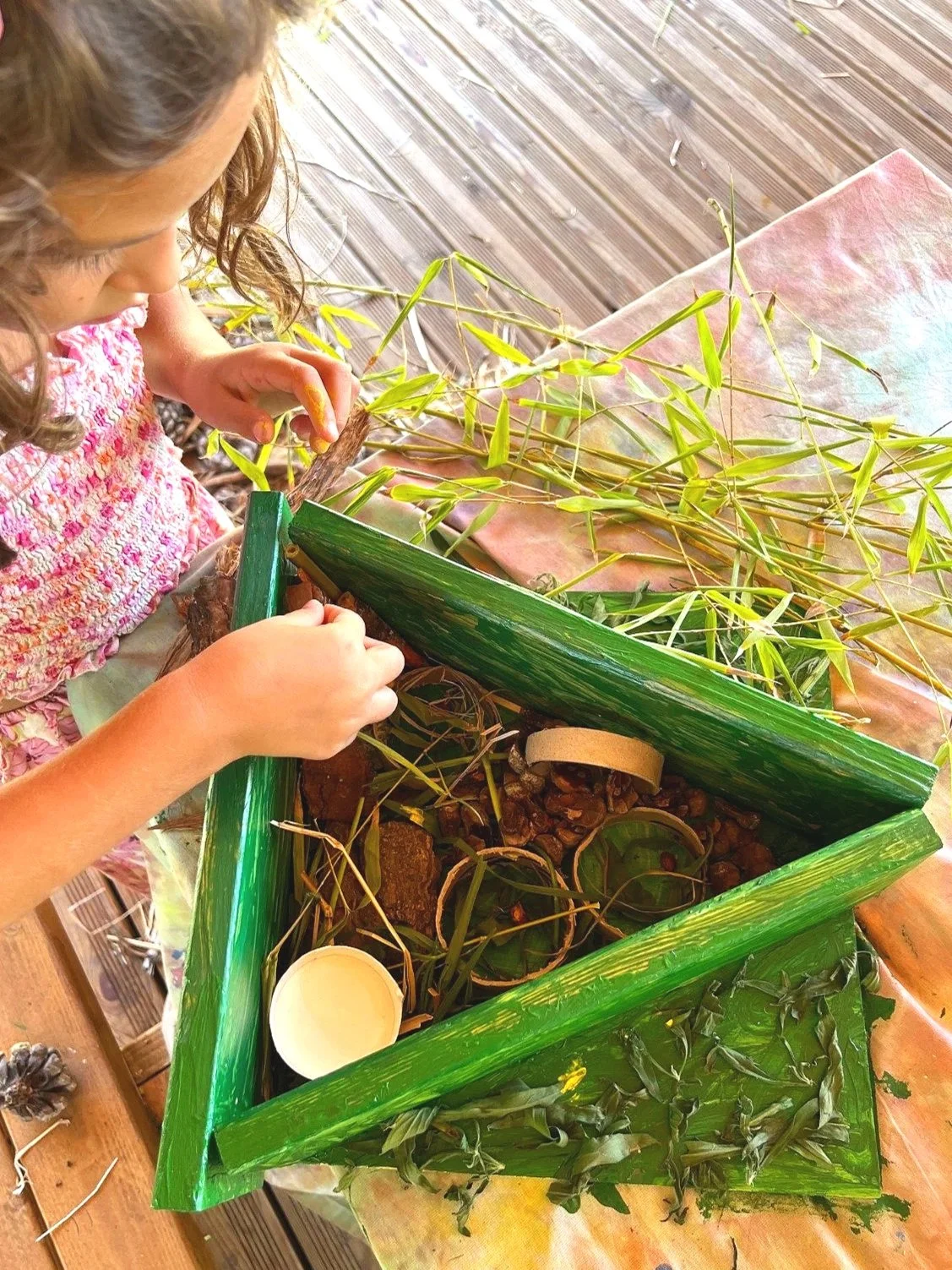 Eco Club (Age 6+)