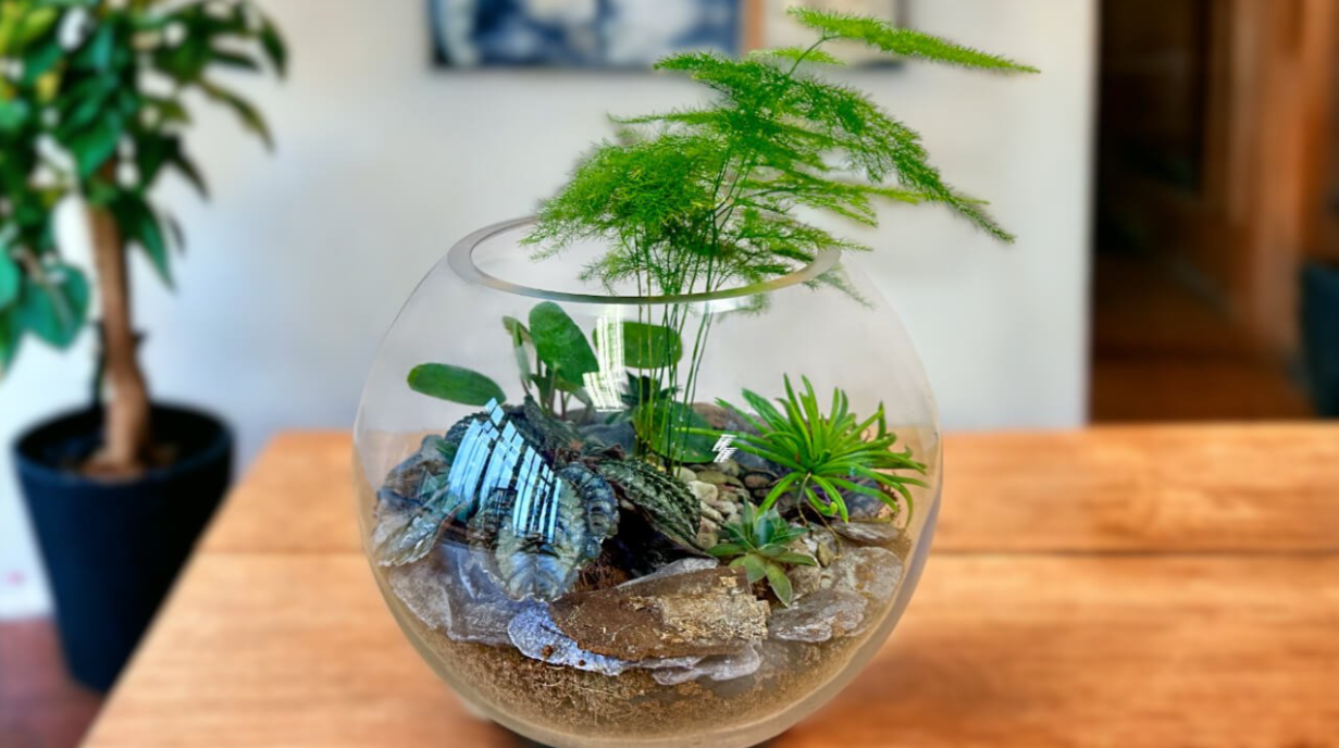 Terrarium-Making Workshop for Kids and Parents (Nov 21st)