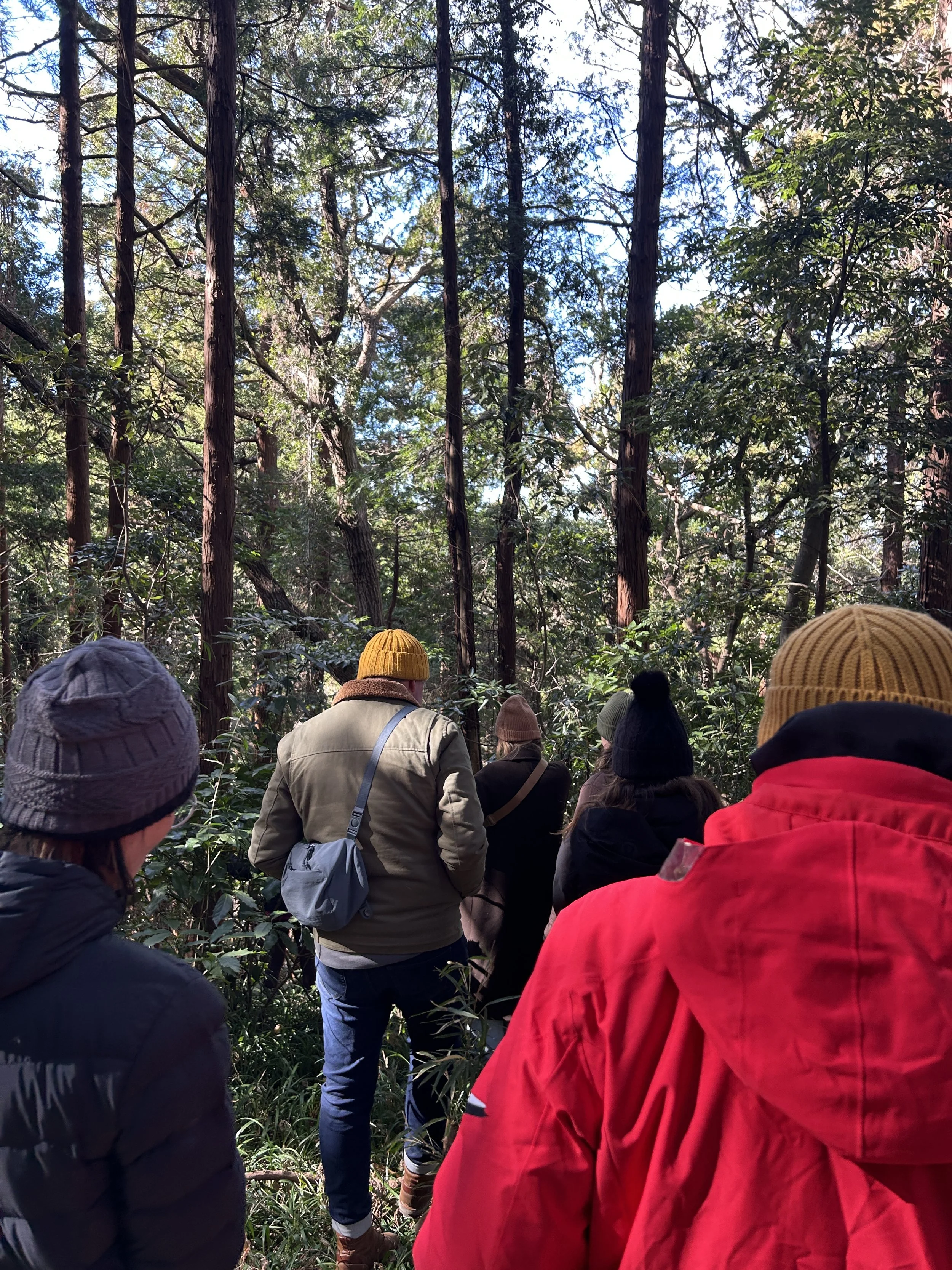 Exploring Satoyama trail with Harappa University II - Parents Experience (Feb. 19)