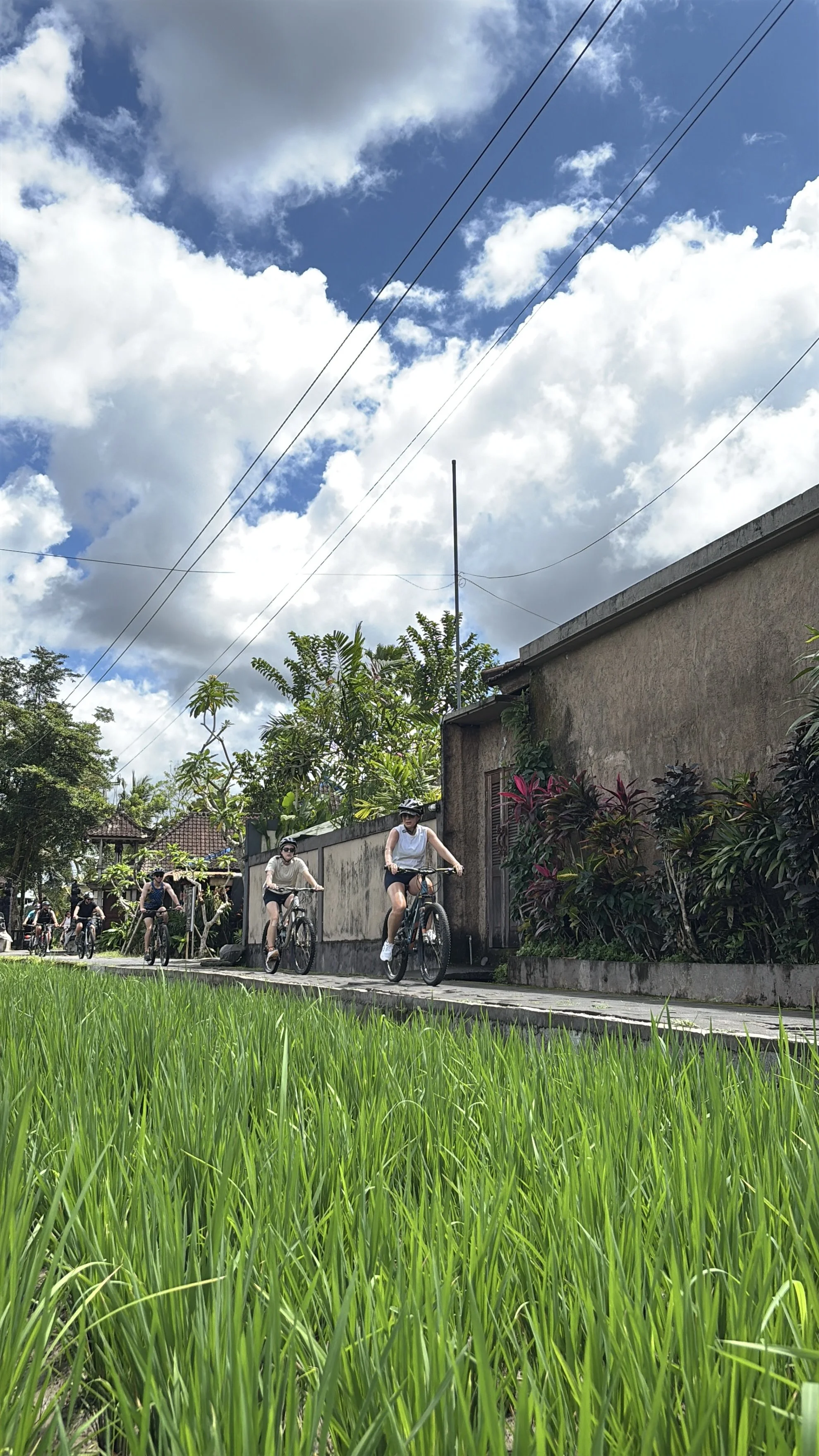 Ubud Cycling: A Journey Through Ubud’s Villages and Waterfalls (Jun. 8)