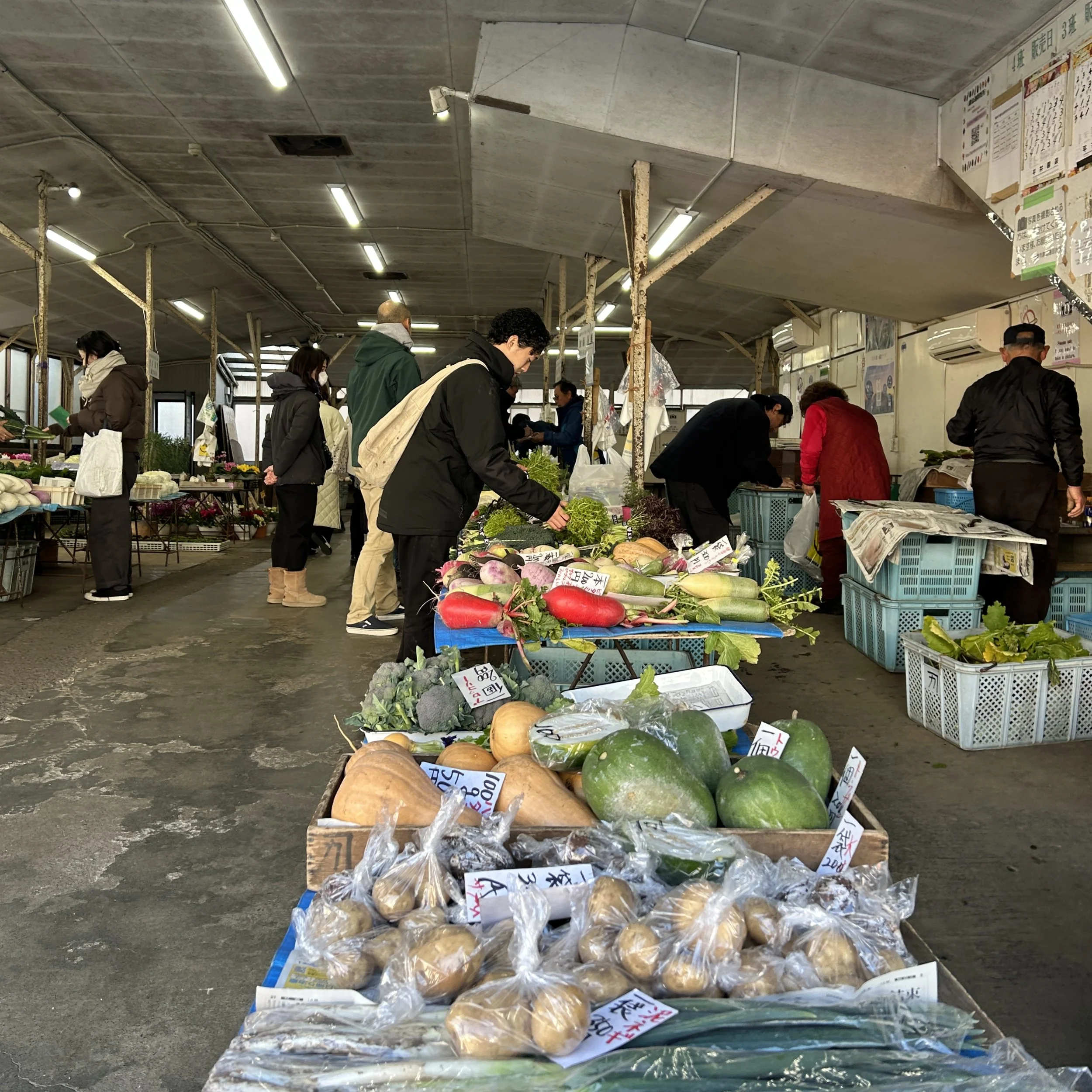 Exploring Kamakura with the Crew (Apr. 13)