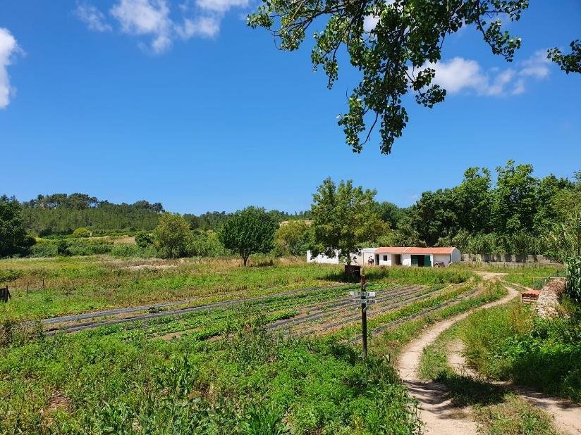 Quinta da Ribeira-Tours 1.jpeg