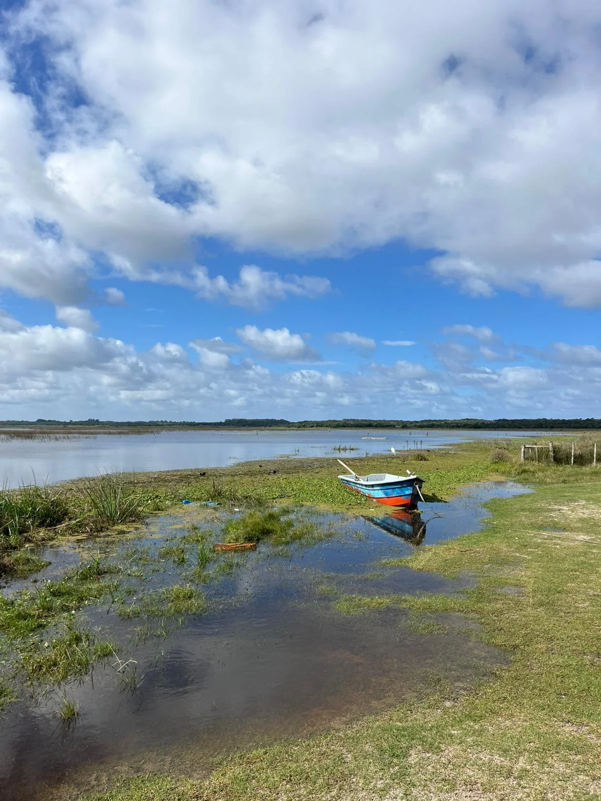 WhatsApp Image 2025-10-24 at 8.21.47 AM.jpeg