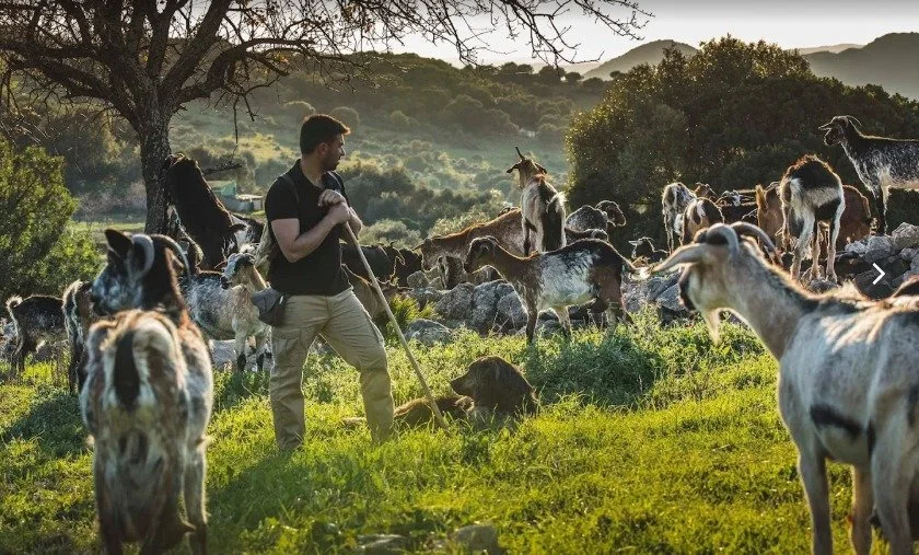 WhatsApp Image 2026-03-04 at 10.52.12.jpeg