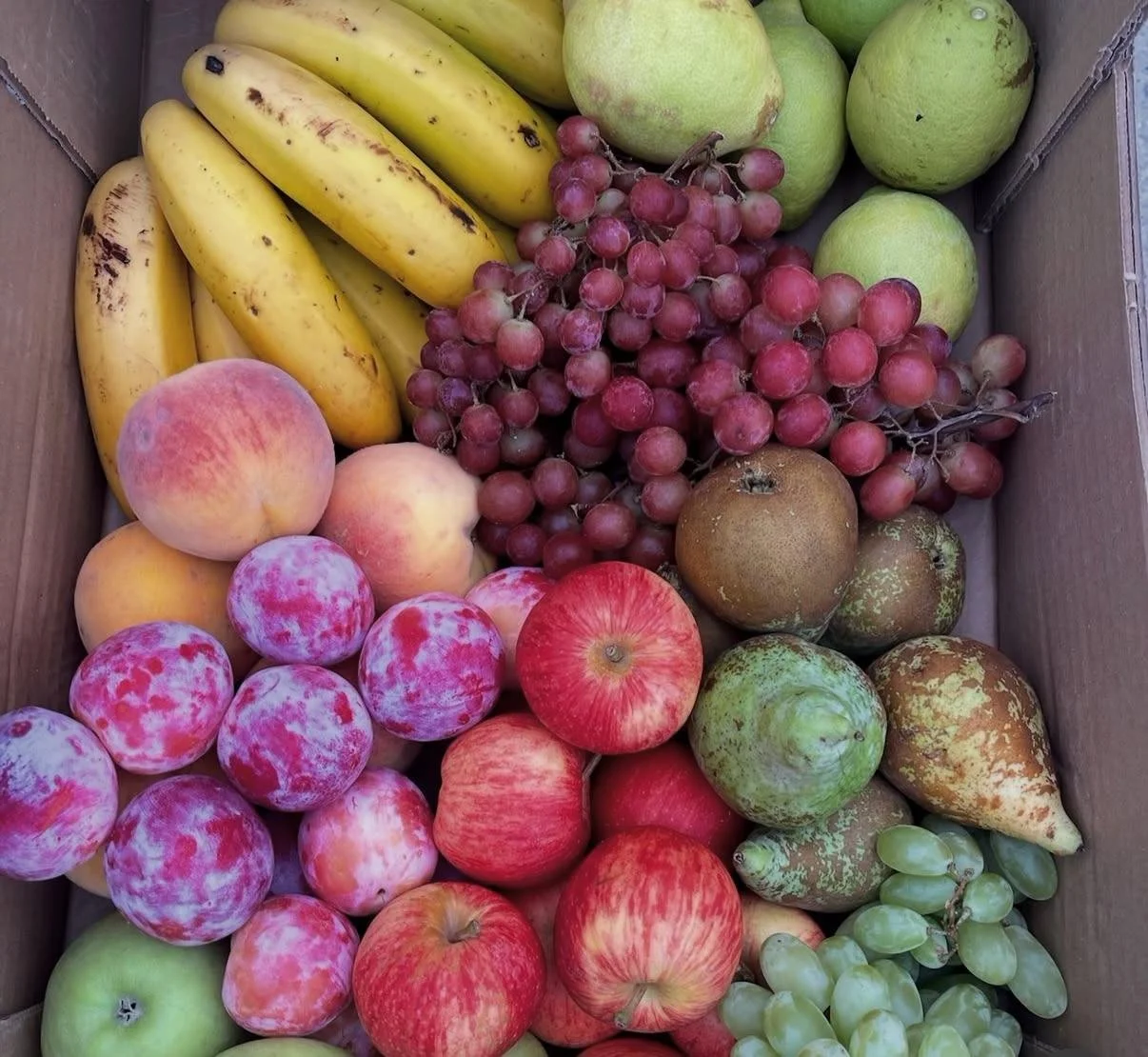 WhatsApp Image 2025-12-22 at 12.56.40.jpeg