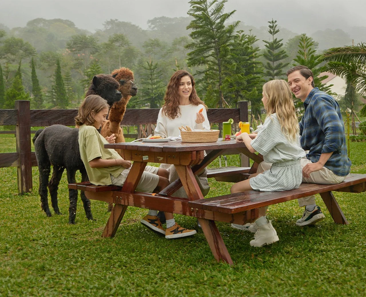 BFH Brunch with Alpaca.jpg
