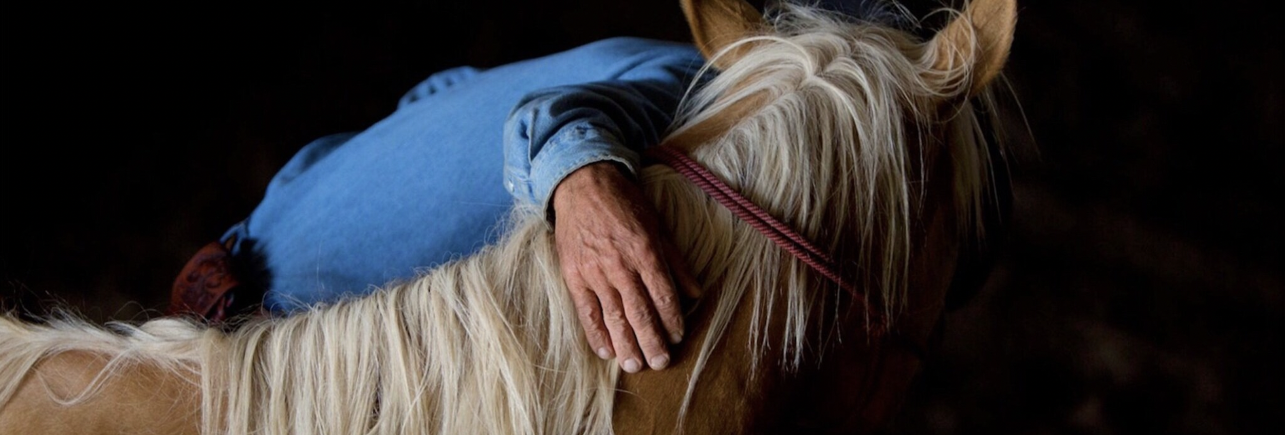 Screenshot 2023-05-25 at 12.21.27.png