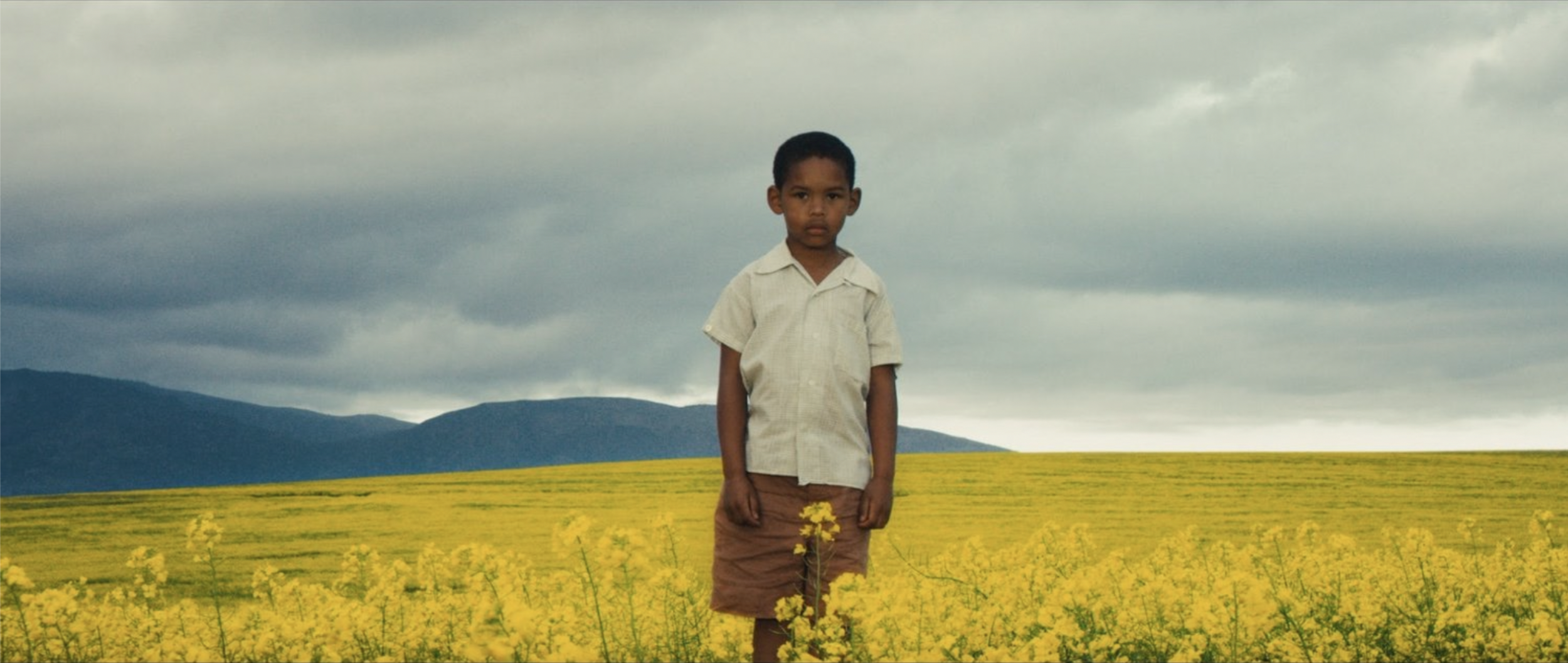 Screenshot 2023-05-25 at 12.13.30.png