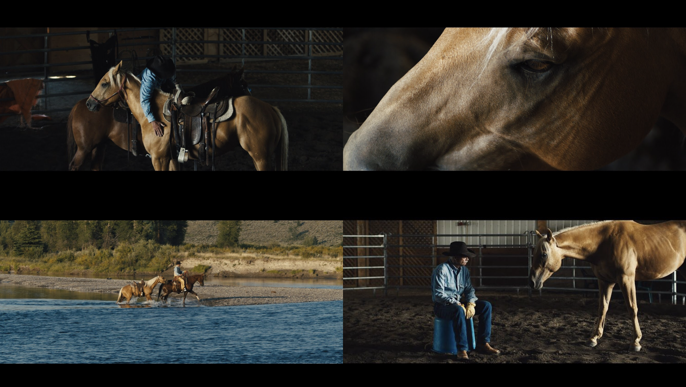 Screenshot 2023-05-25 at 12.15.02.png