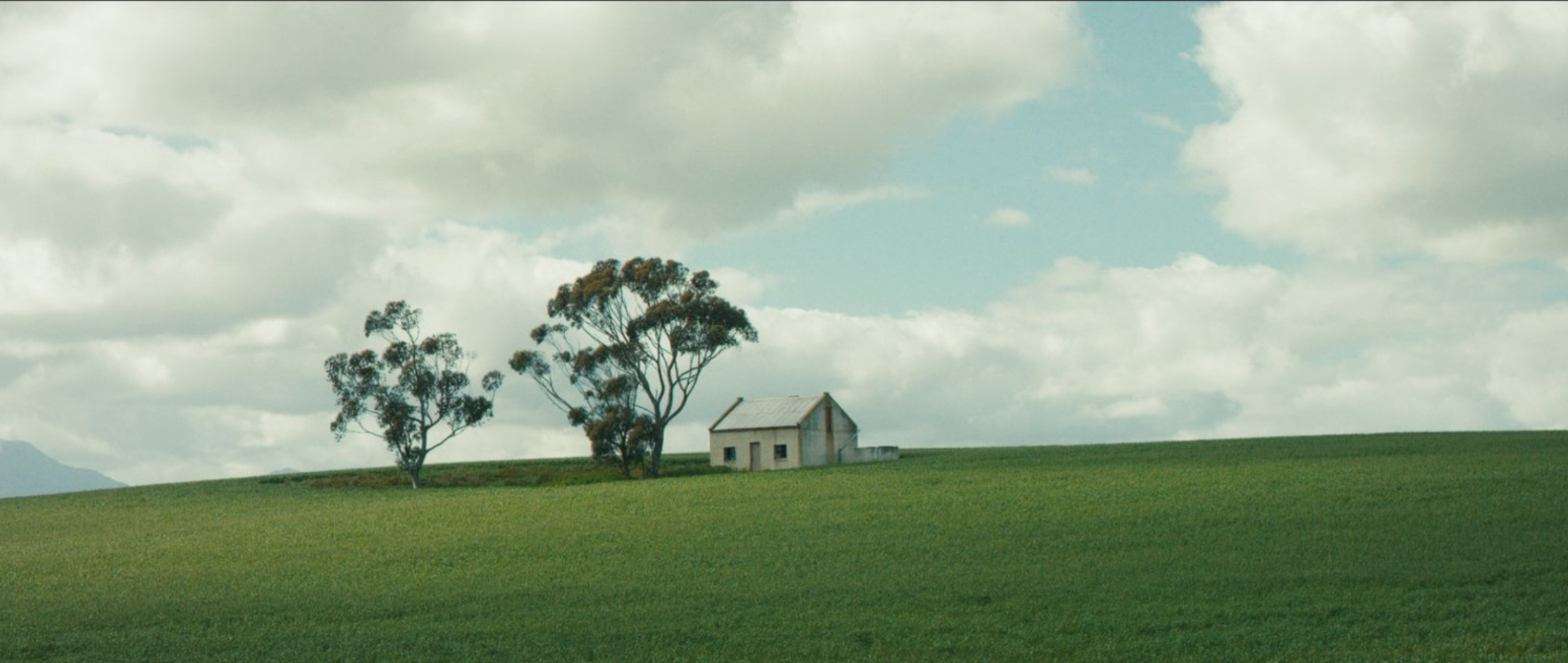 Screenshot 2023-05-25 at 12.13.45.png