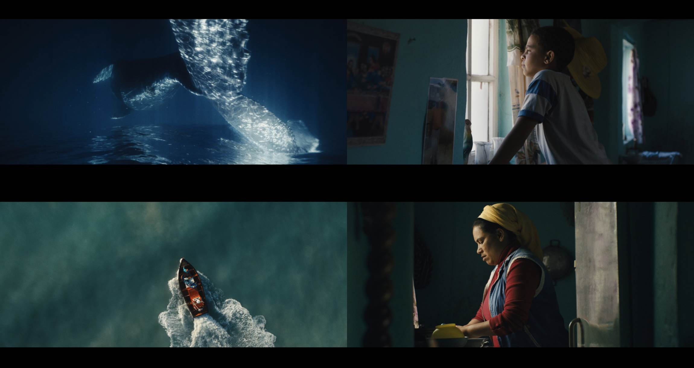 Screenshot 2023-05-25 at 12.15.19.png