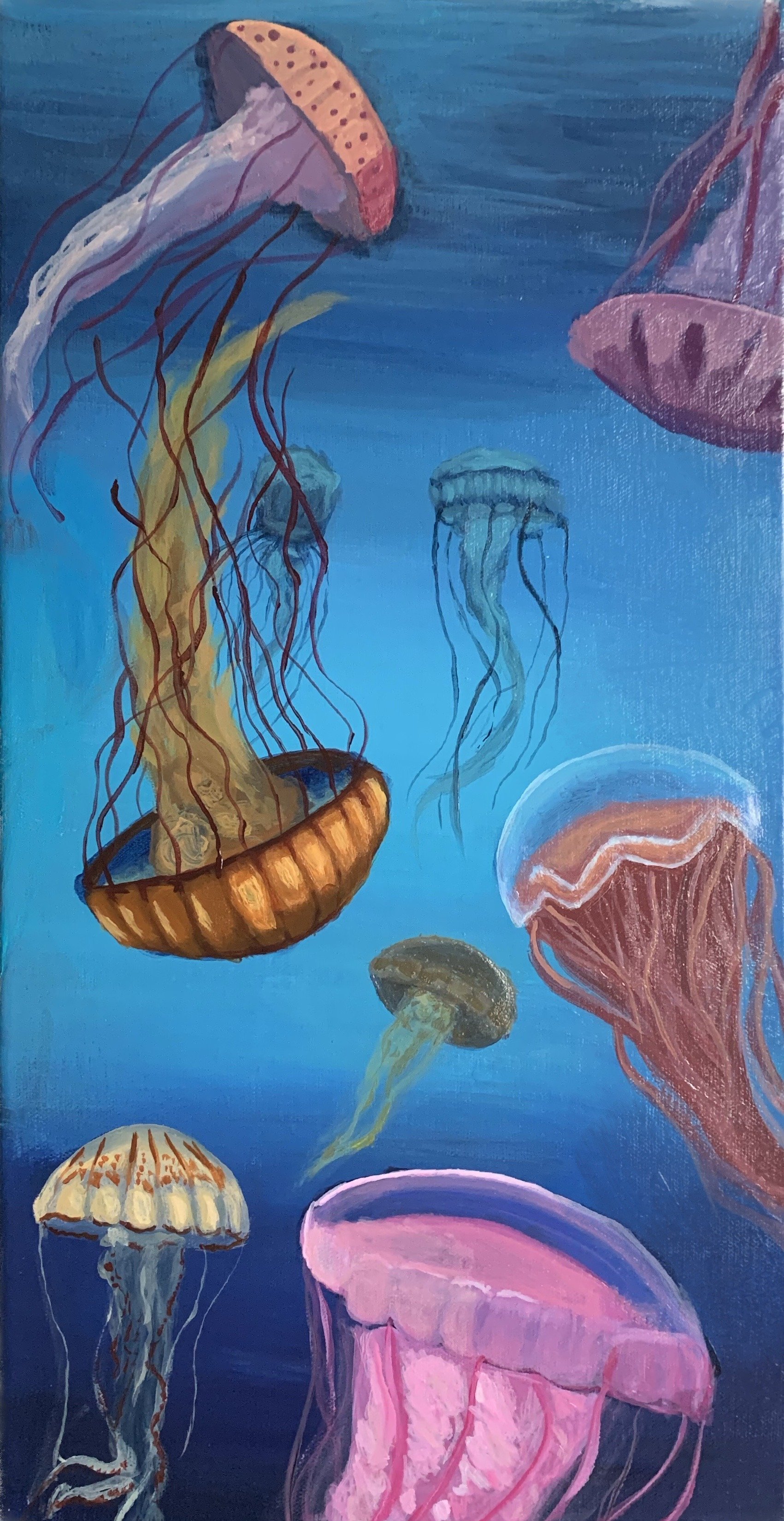 Jellyfish, acrylic 6x12