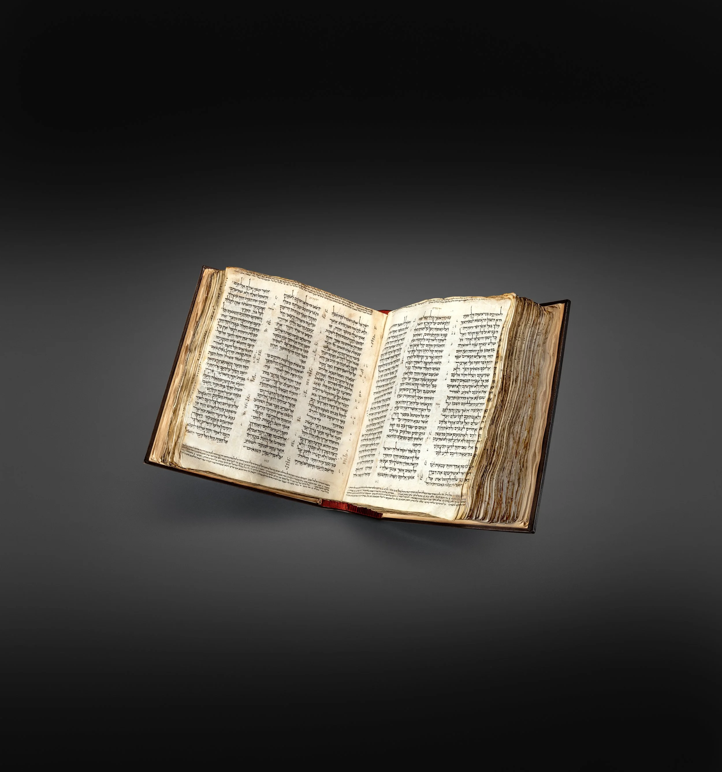 Private Tour of the Codex Sassoon