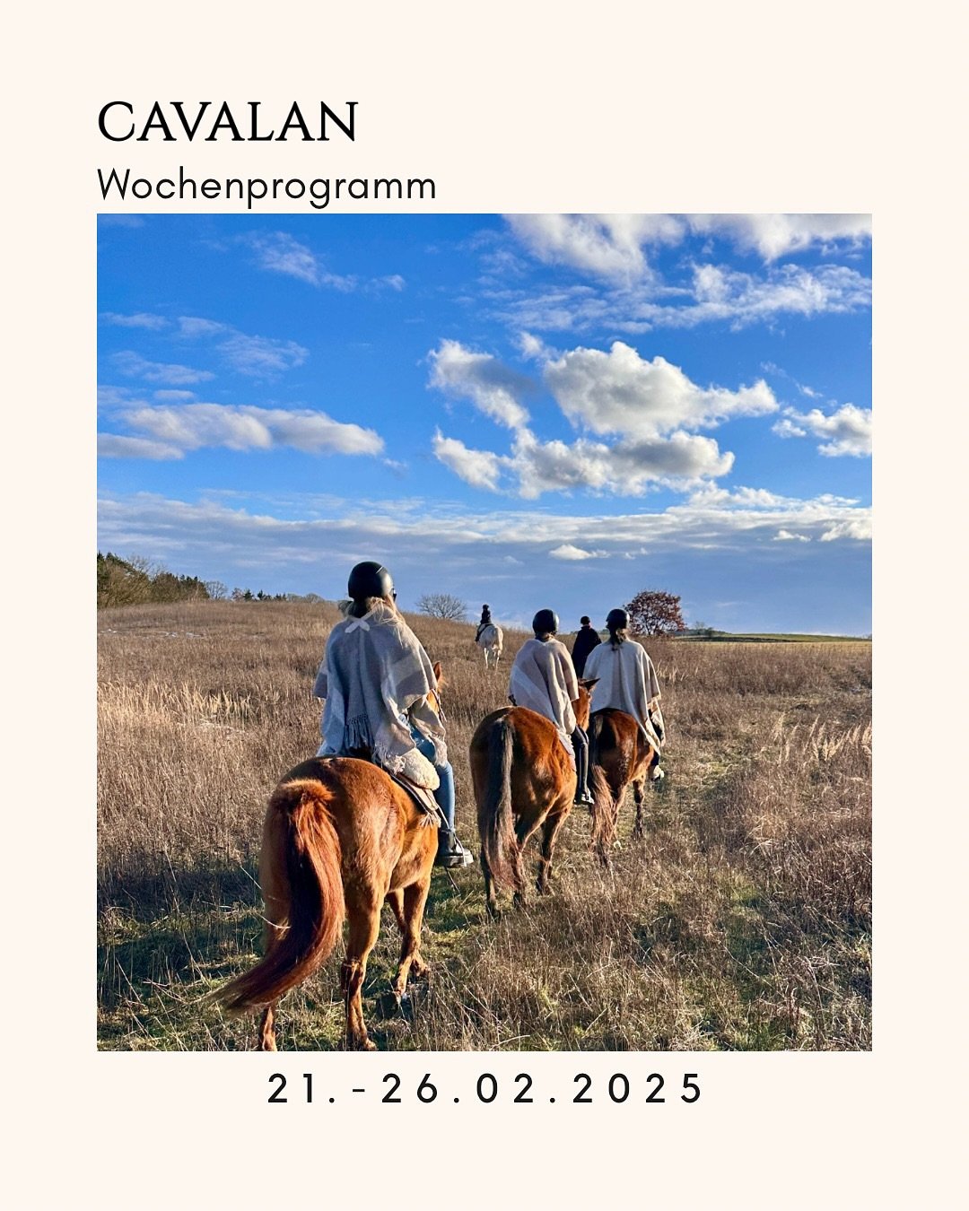 CAVALAN-PROGRAMM 21.02. - 26.02.

In den kommenden Tagen finden wieder Ausritte in die weiten Landschaften der mecklenburgischen Pampa statt! 🌿🐎 

Wir bieten sowohl ruhige Ausritte f&uuml;r alle Niveaus, als auch Ausritte mit Galopp f&uuml;r Fortge