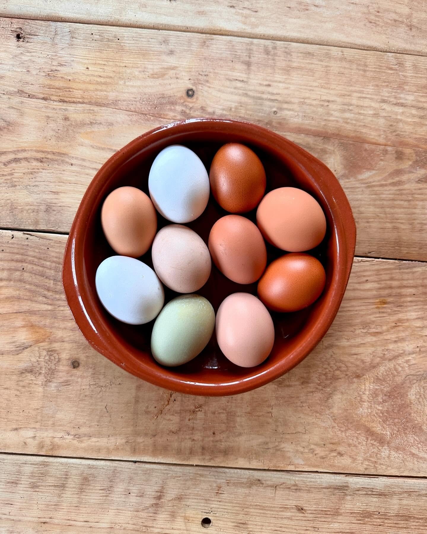 Frischer geht&rsquo;s nicht! ✨🥚

Auf unserem Hof laufen unsere H&uuml;hner frei herum, picken nach Lust und Laune und legen die leckersten Eier. 🐓🌿 Unsere Ferieng&auml;ste d&uuml;rfen sich direkt im H&uuml;hnerstall ihre eigenen frischen Fr&uuml;h