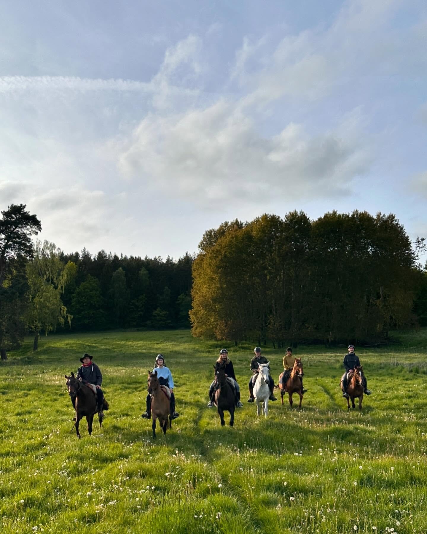 Die Tagesritt-Saison startet wieder! 🐎✨

Der Fr&uuml;hling steht vor der T&uuml;r, die Tage werden l&auml;nger, und wir freuen uns, euch endlich wieder unsere beliebten Tagesritte anbieten zu k&ouml;nnen! 🌿🌞 

Ab April geht es los &ndash; ein ganz