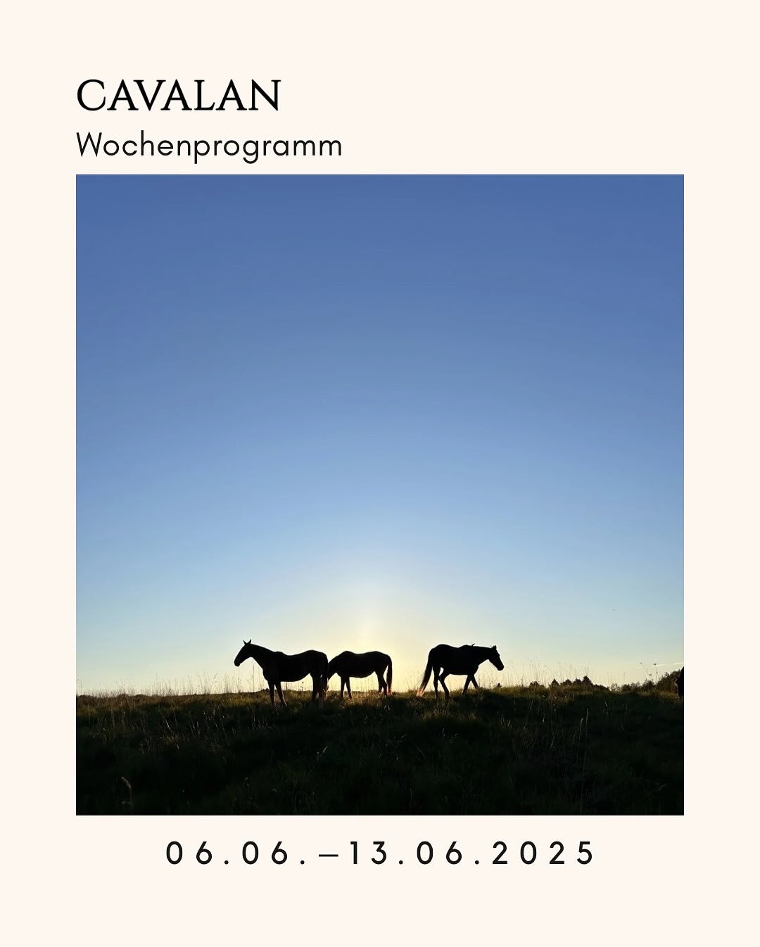 🌾 Pfingsten auf der Cavalan Ranch 🐎🔥

Unser Wochenprogramm ist prall gef&uuml;llt mit Reitabenteuern!
 Euch erwarten t&auml;glich gef&uuml;hrte Ausritte durch die wundersch&ouml;ne Natur der Mecklenburger Pampa &ndash; f&uuml;r Anf&auml;nger und F