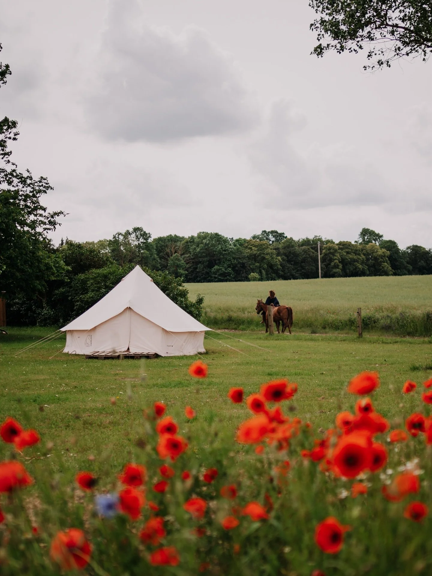 The ranch lifestyle is found in the small gestures of each day: the bond with the horses, the care for what grows from the earth and the time shared with our guests.