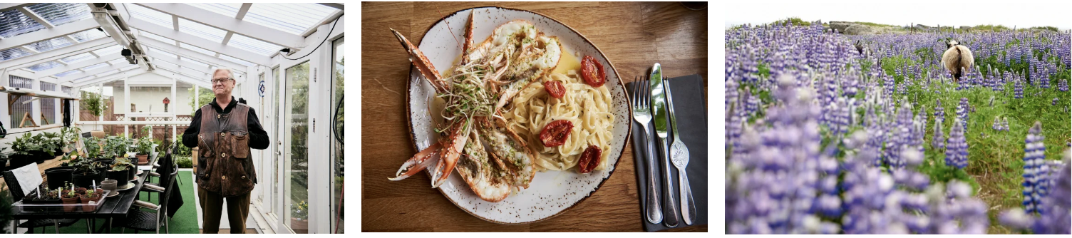 Documentary destination photographer capturing intimate human moments within the Icelandic landscape.