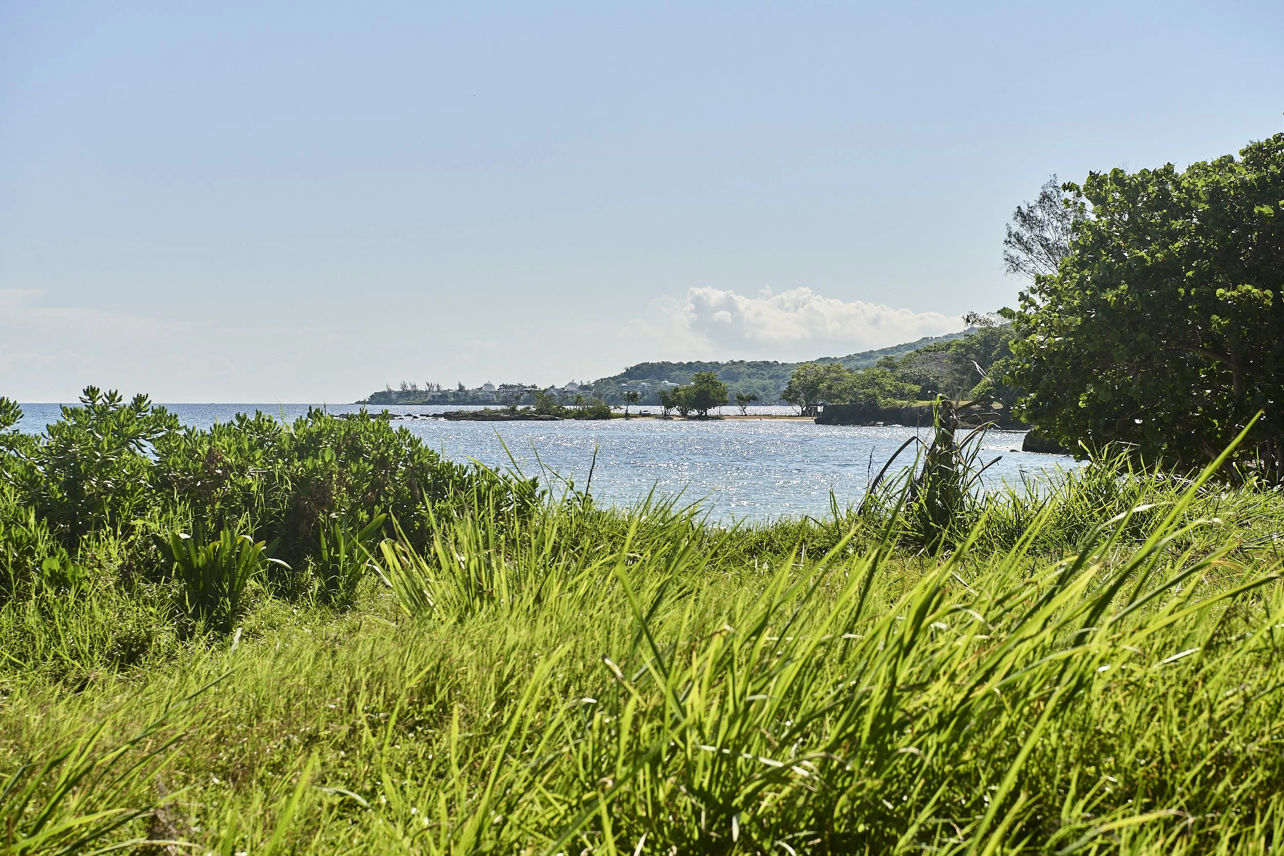 web_ELEY_CHIROPRCTIC_23_DAY 4_2308.jpg