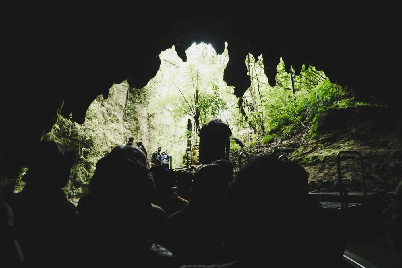Waitomo Caves