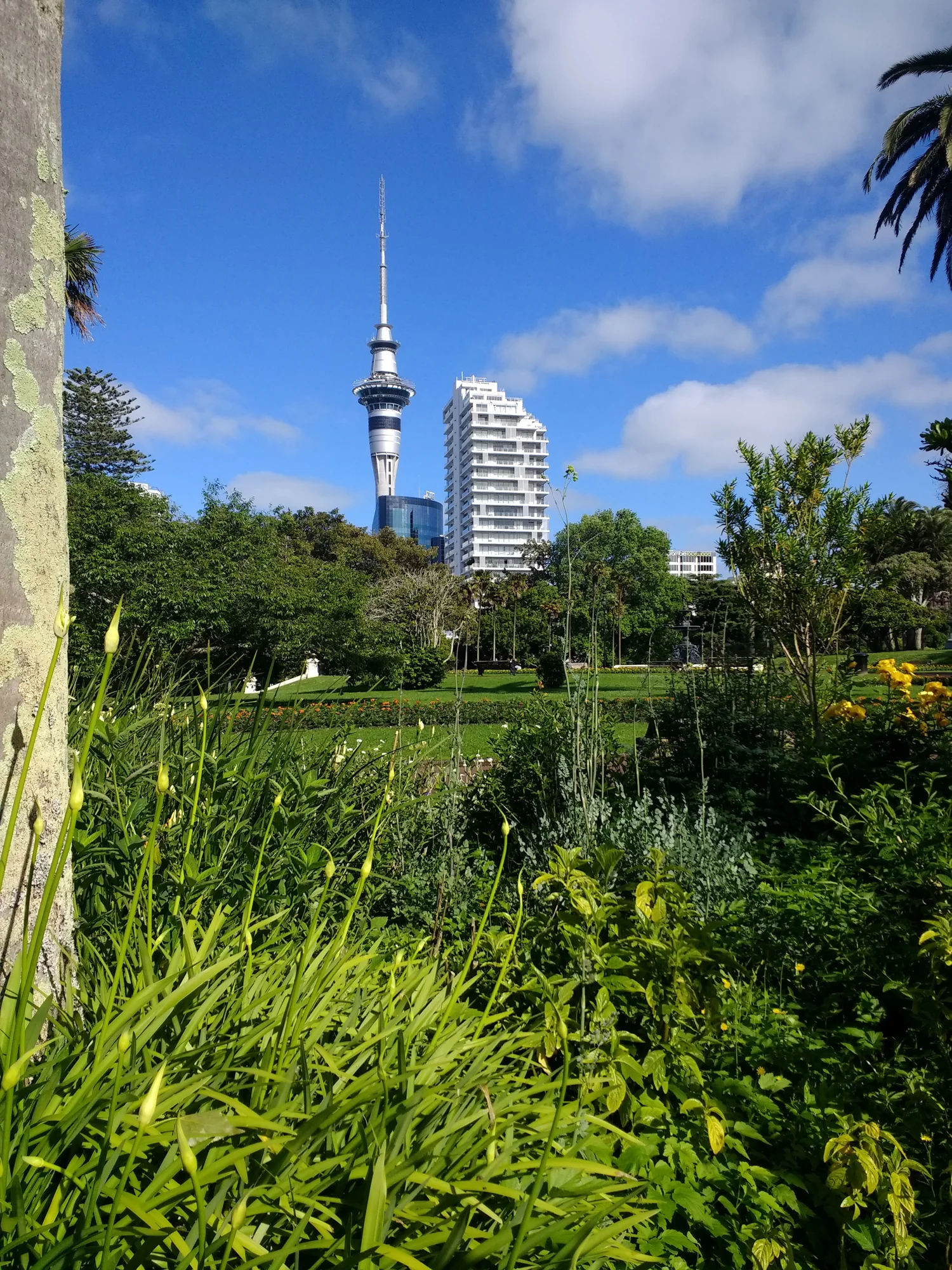 Auckland